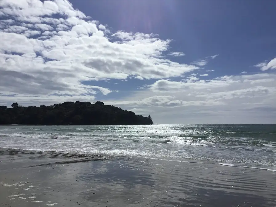 絶景とワインが楽しめる贅沢な島。ニュージーランドの「ワイヘキ島」へ行ってきました！ | miwaaaが投稿した記事 | Lemon8