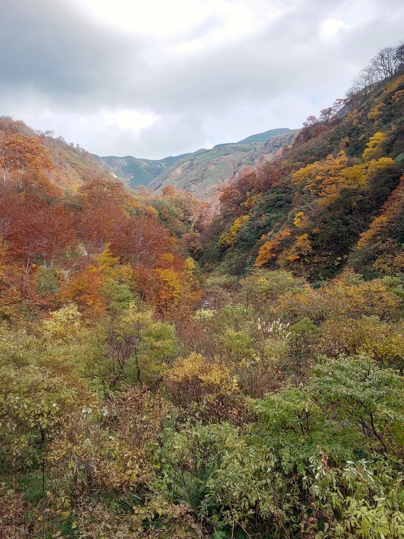 湯殿山神社 | ミッキーおじさんが投稿したフォトブック | Lemon8