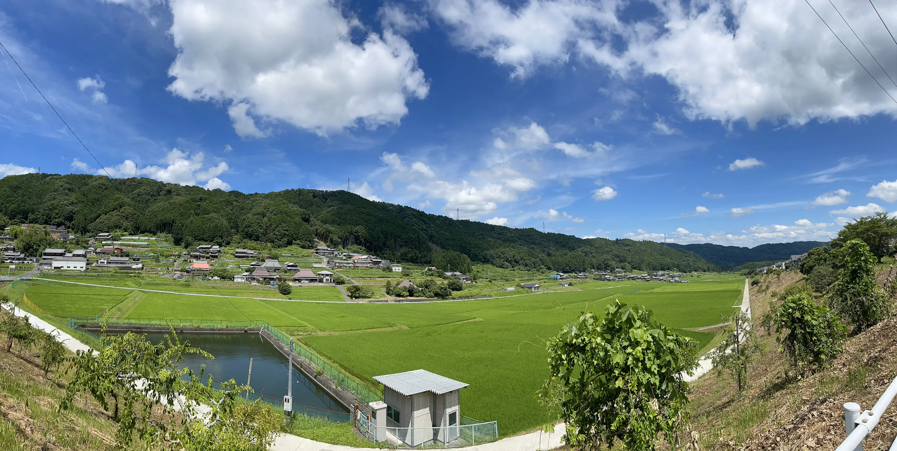 三重県の自然たっぷりの中にあるパン屋さん【ごまめ】さん 可愛いパン