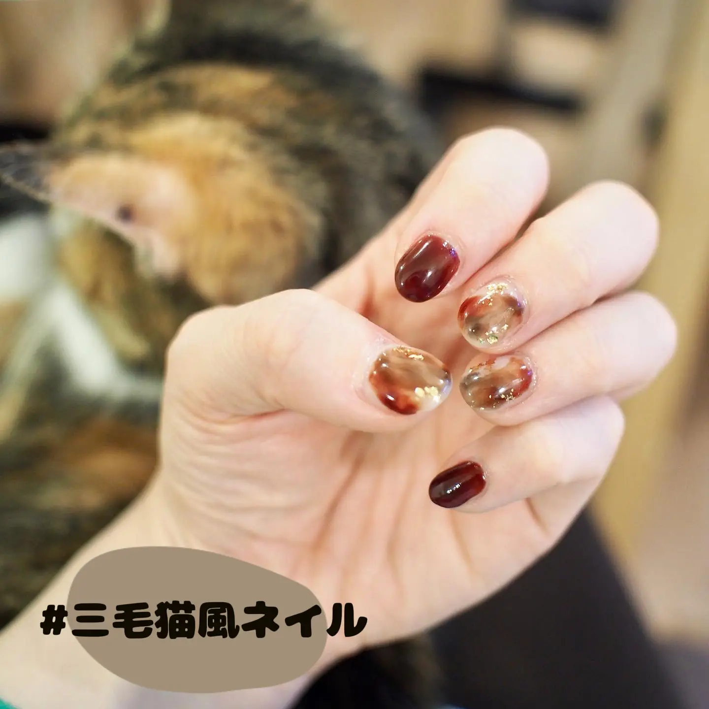 お気に入りの三毛猫ネイル🐈   | miyuki.Aが投稿したフォトブック | Lemon8