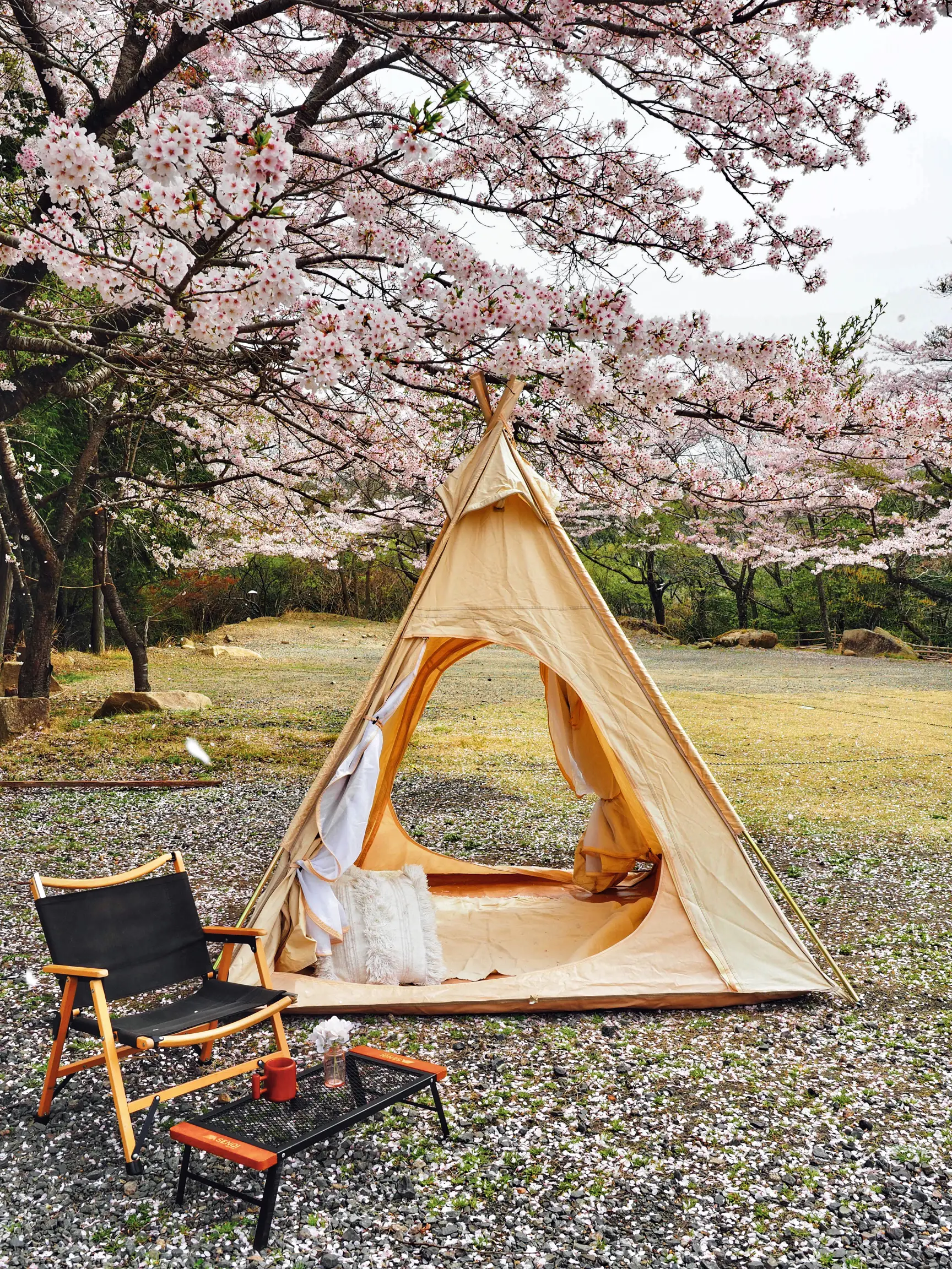 クラインガルテン能勢でお花見キャンプ🏕 | チアコマが投稿したフォトブック | Lemon8