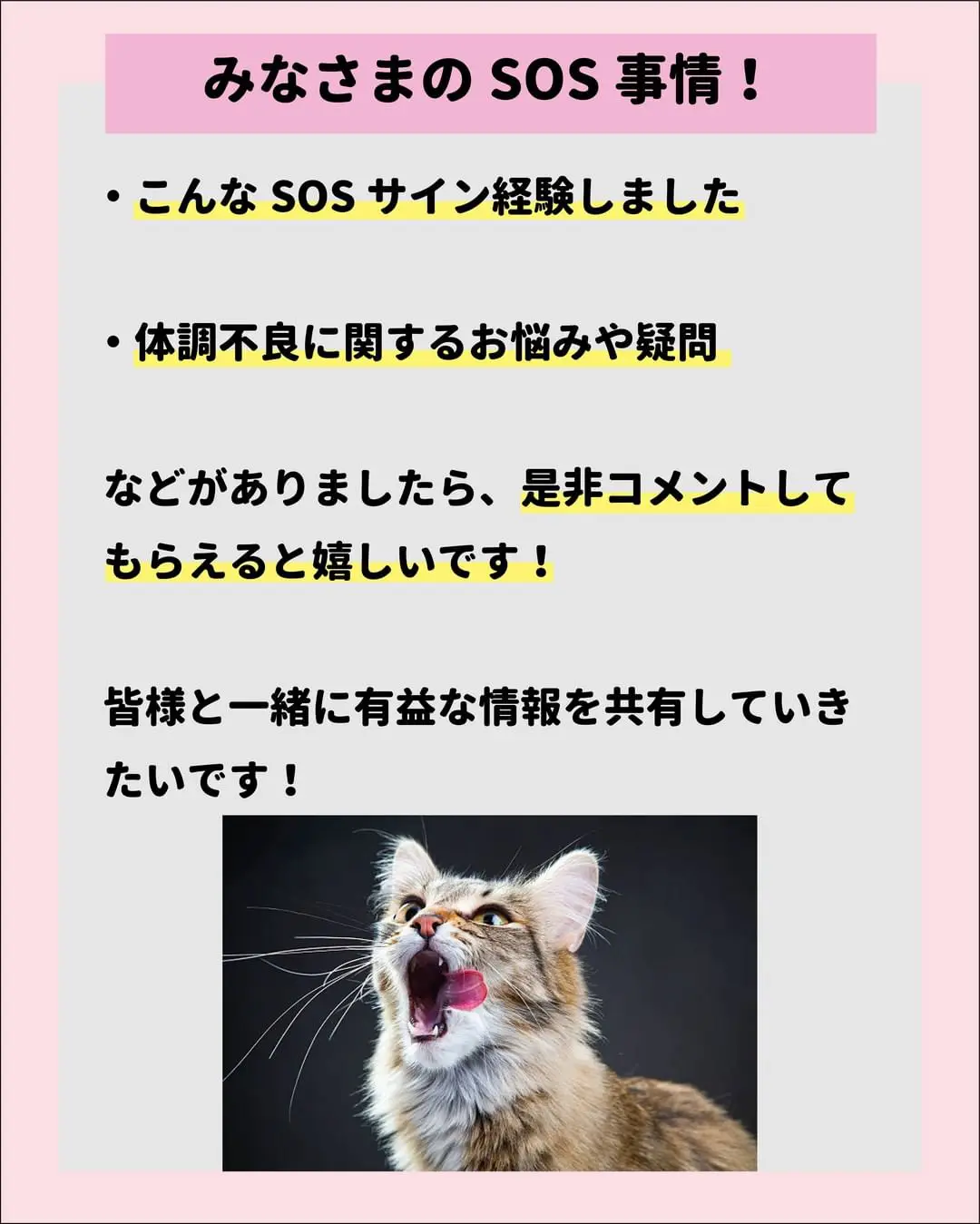 猫のストレス解消法】 | ねこにも_愛猫情報発信中が投稿したフォト