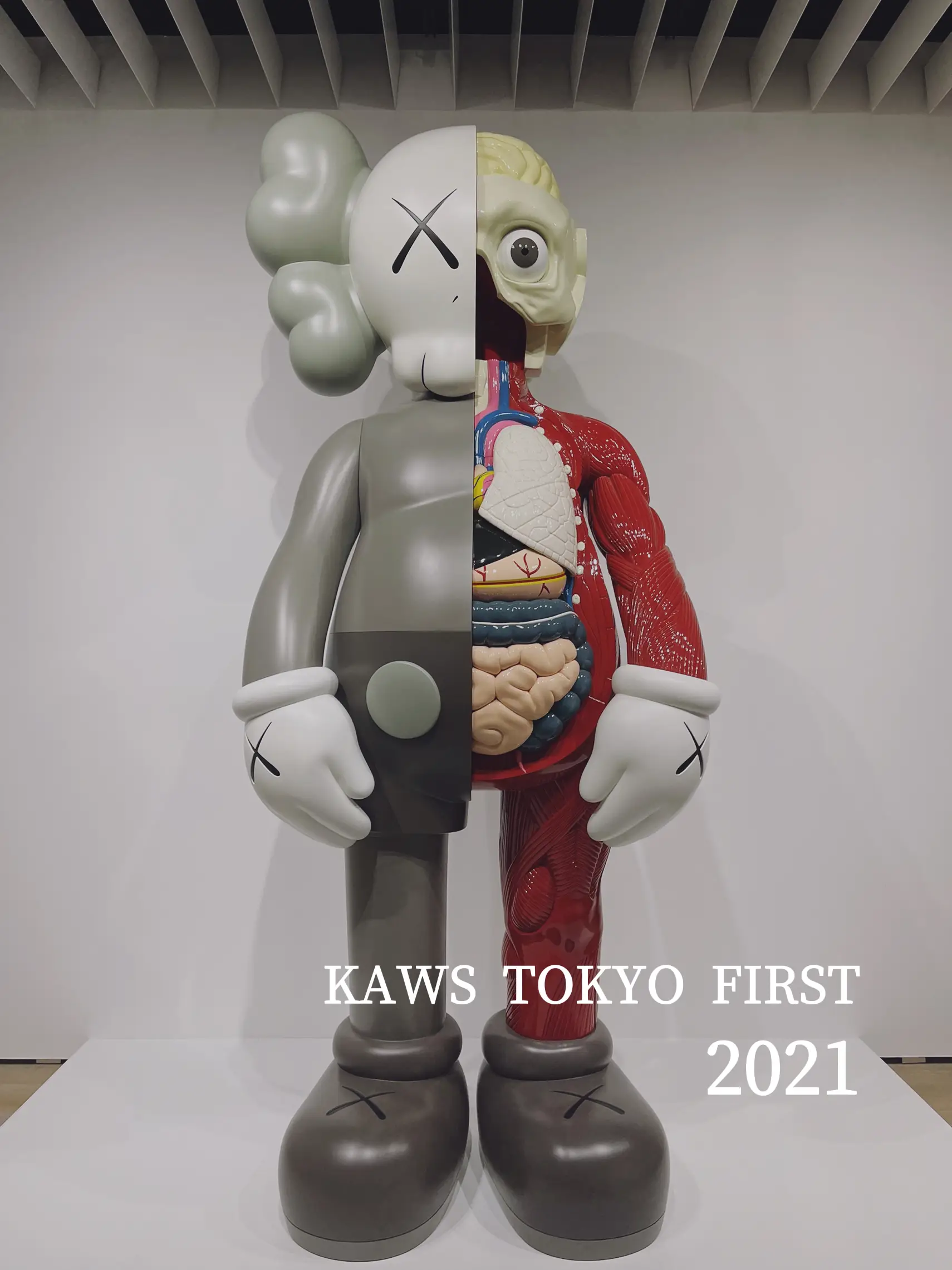 KAWS TOKYO FIRST | 水美草地が投稿したフォトブック | Lemon8