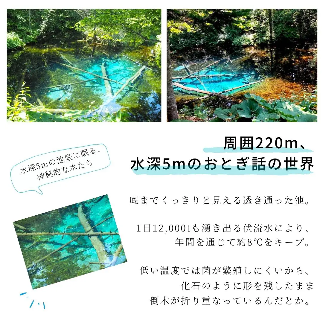神秘の泉「神の子池」で、おとぎの国に小旅行。ー北海道斜里郡・清里 ...
