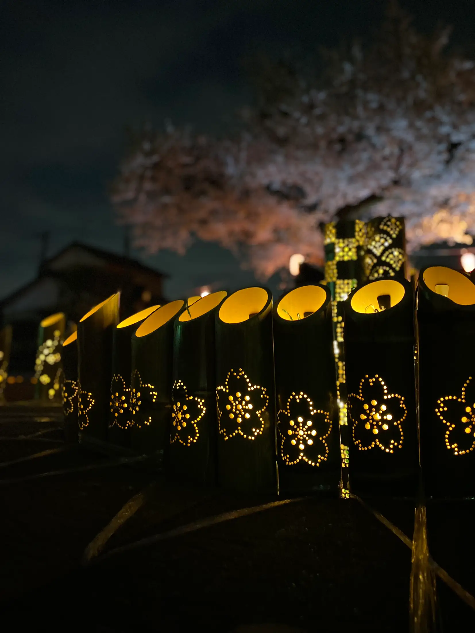 竹灯り　彩シリーズ　〜春灯籠〜　竹灯籠　極太孟宗竹 竹灯り 彩シリーズ 〜春灯籠〜 竹灯籠 極太孟宗竹 竹灯り 彩シリーズ