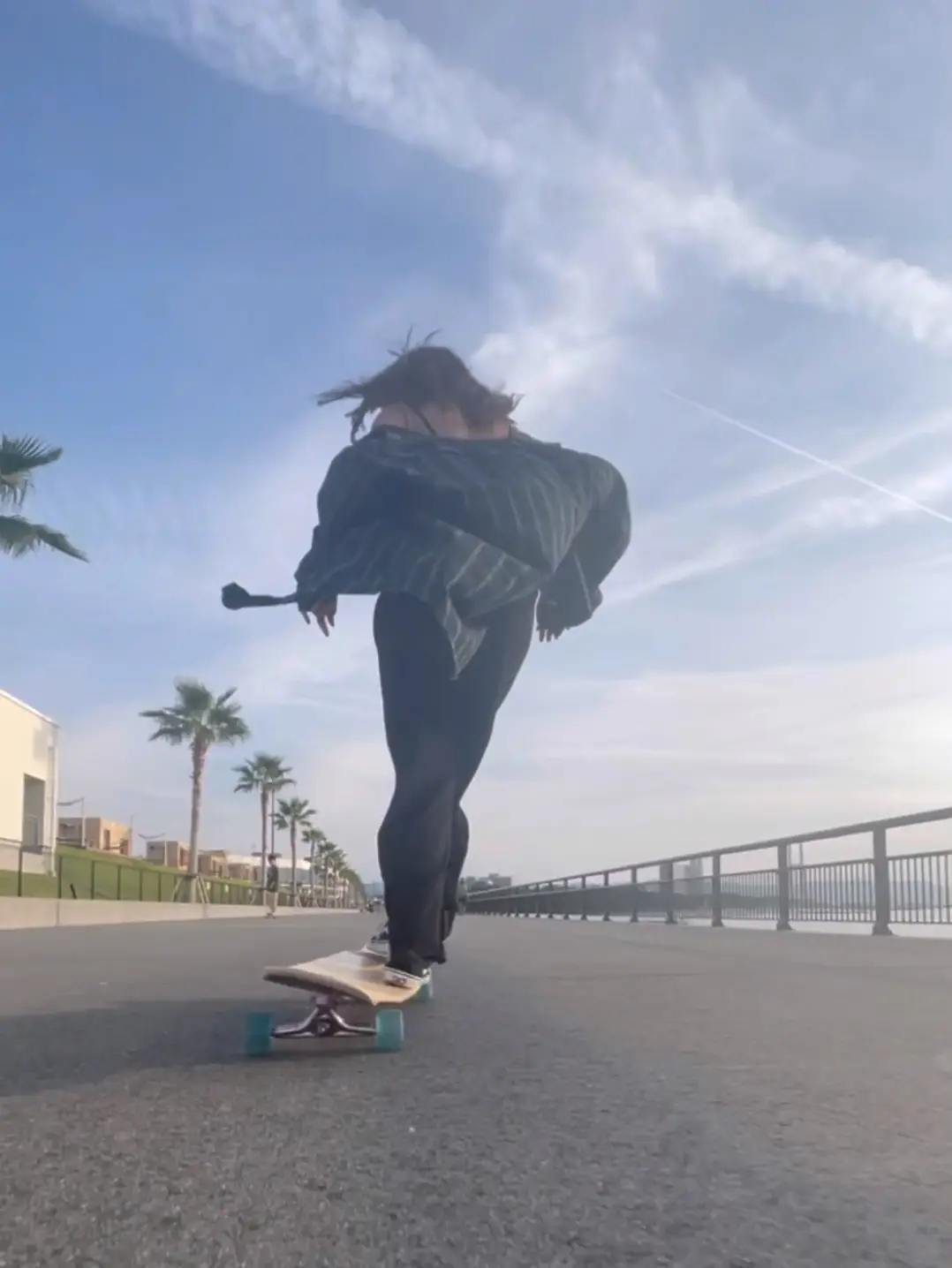 HOT ロングボード スケボー ロンスケ ロング スケートボード フランス HOT ロングボード スケボー ロンスケ ロング スケートボード