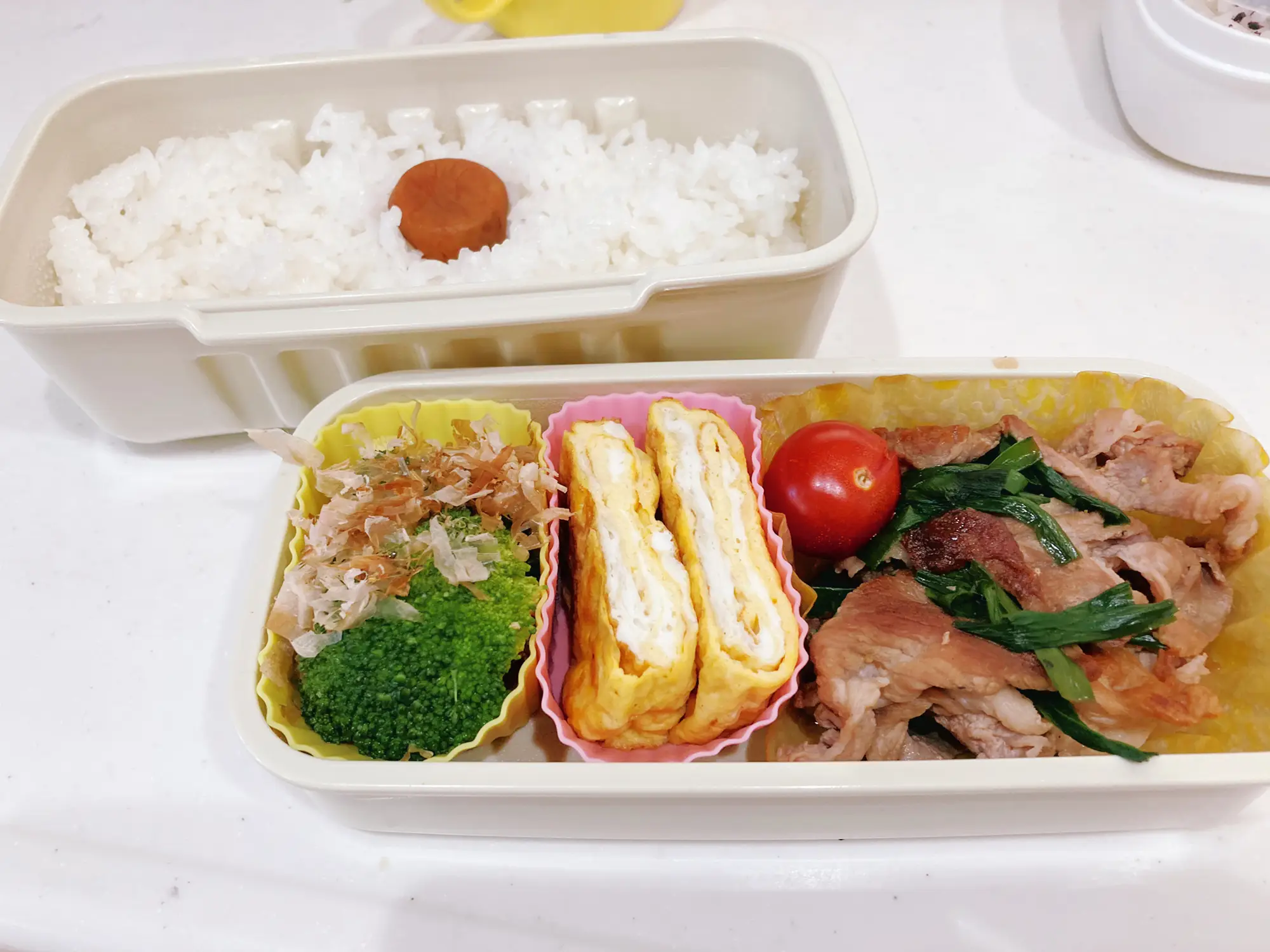 2月28日 お弁当 | なつれいが投稿したフォトブック | Lemon8