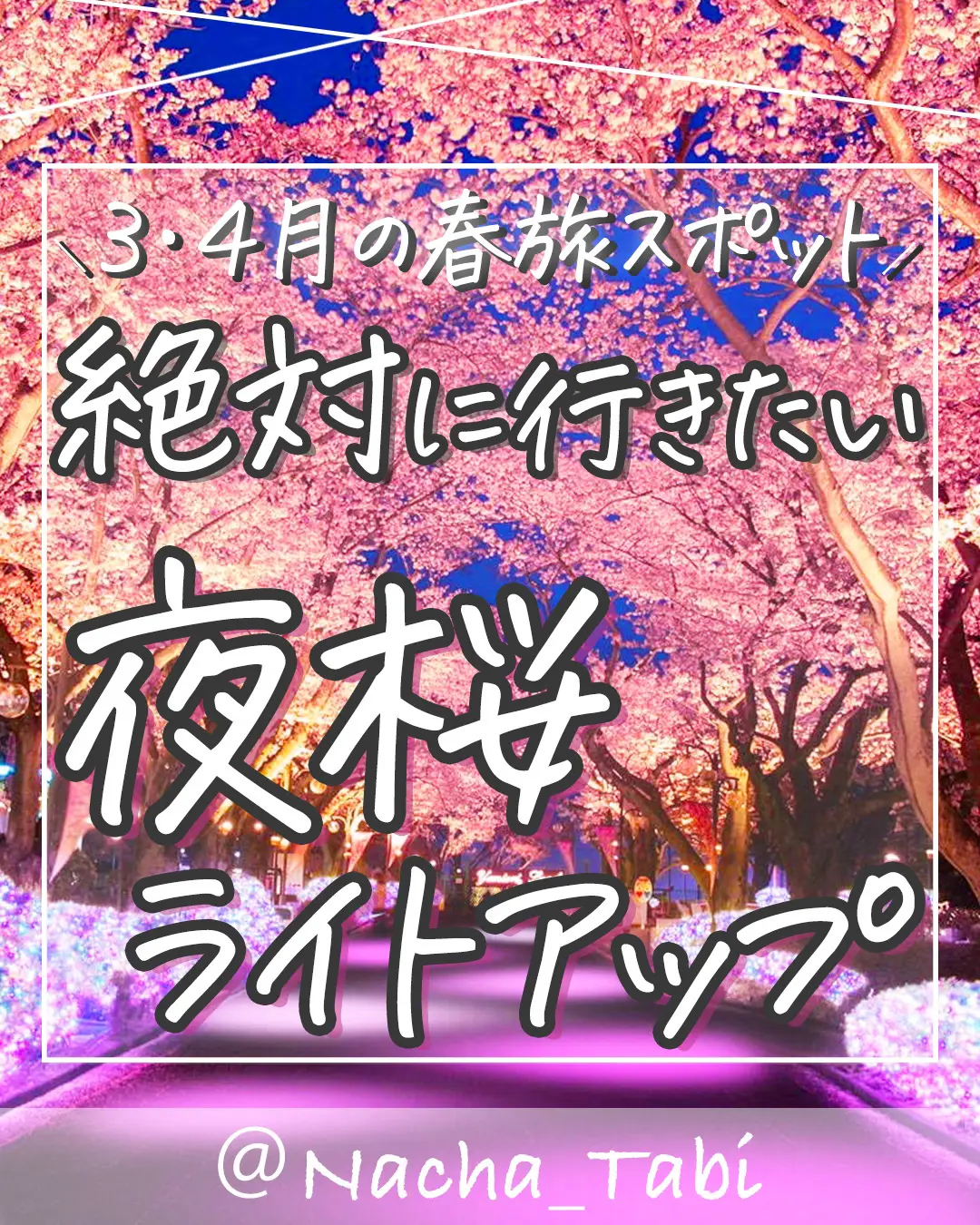 夜桜ライトアップ特集🌸✨の画像 (0枚目)