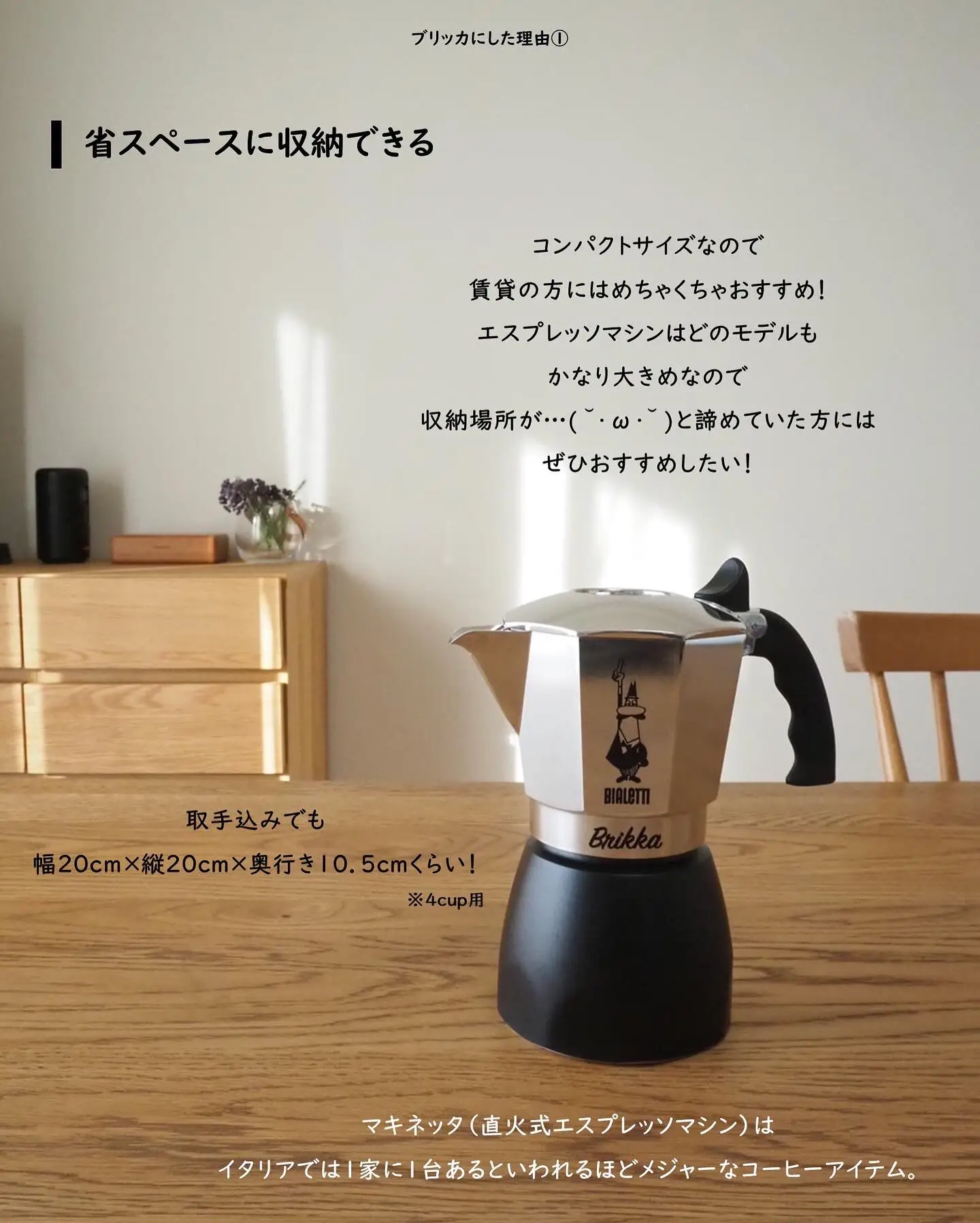 タイムセールモールテックスこちらはモデル。コメントいただけれ タイムセールモールテックスこちらはモデル。コメントいただけれ