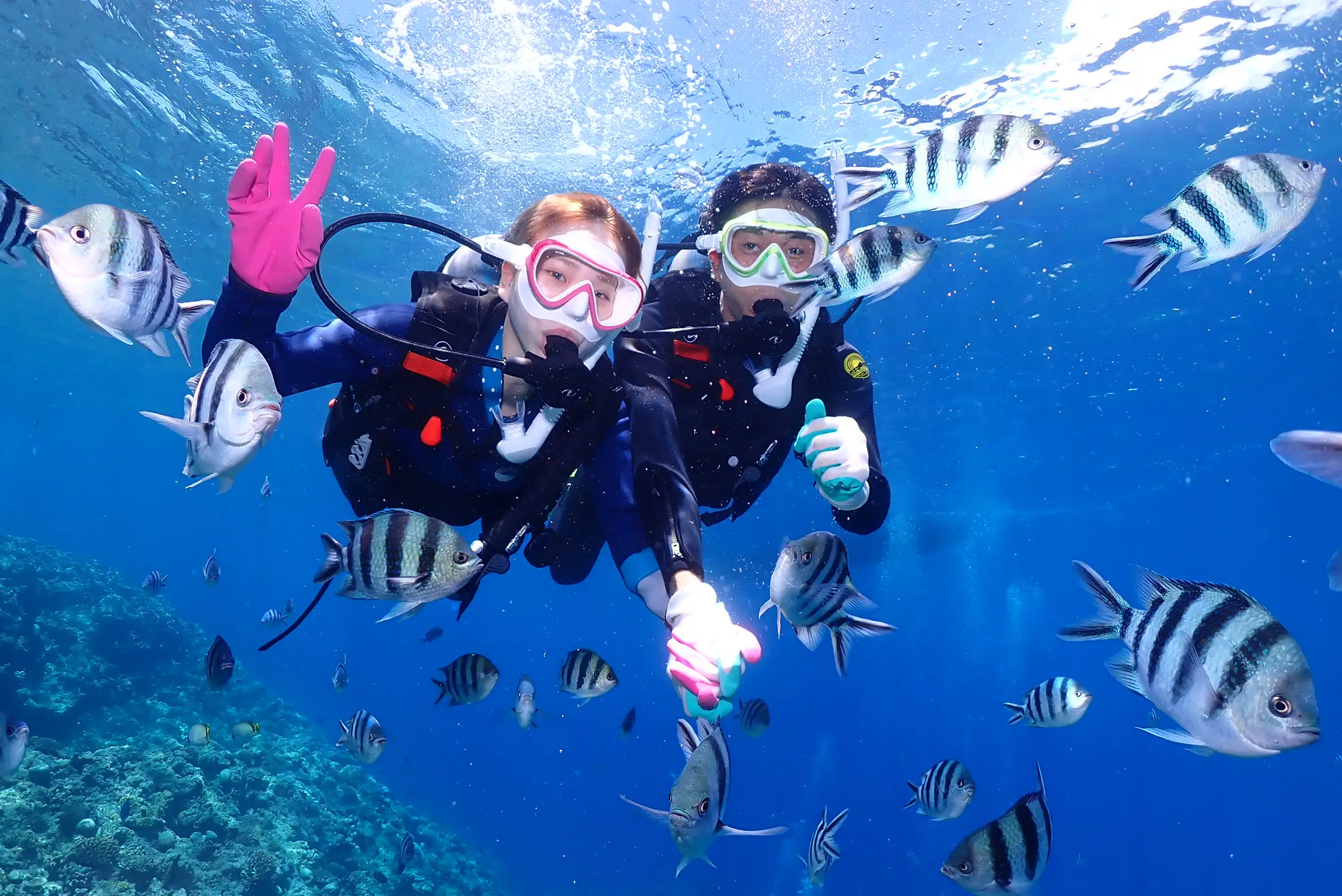 沖縄】お魚たくさん💕💕青の洞窟で、ダイビングするならぜひ、当店へ‼️‼️ | ALOHA OKINAWAが投稿したフォトブック | Lemon8