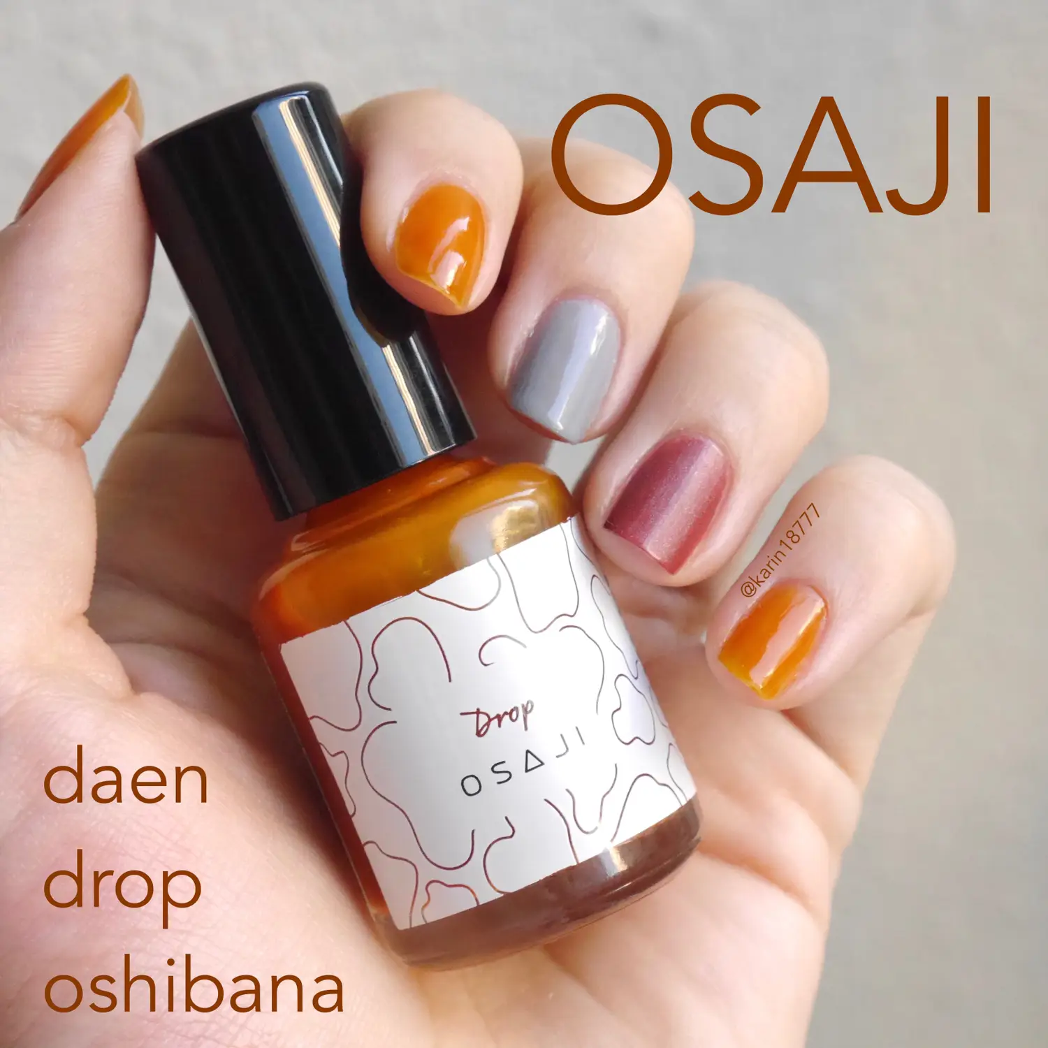 OSAJIホリデーネイル💅先行発売 | 花鈴が投稿したフォトブック | Lemon8