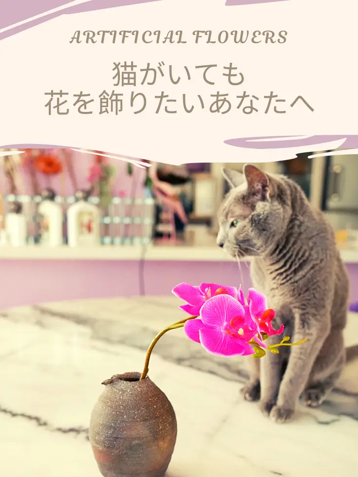 猫が居て花を飾れないあなたへ | yukaが投稿したフォトブック | Lemon8