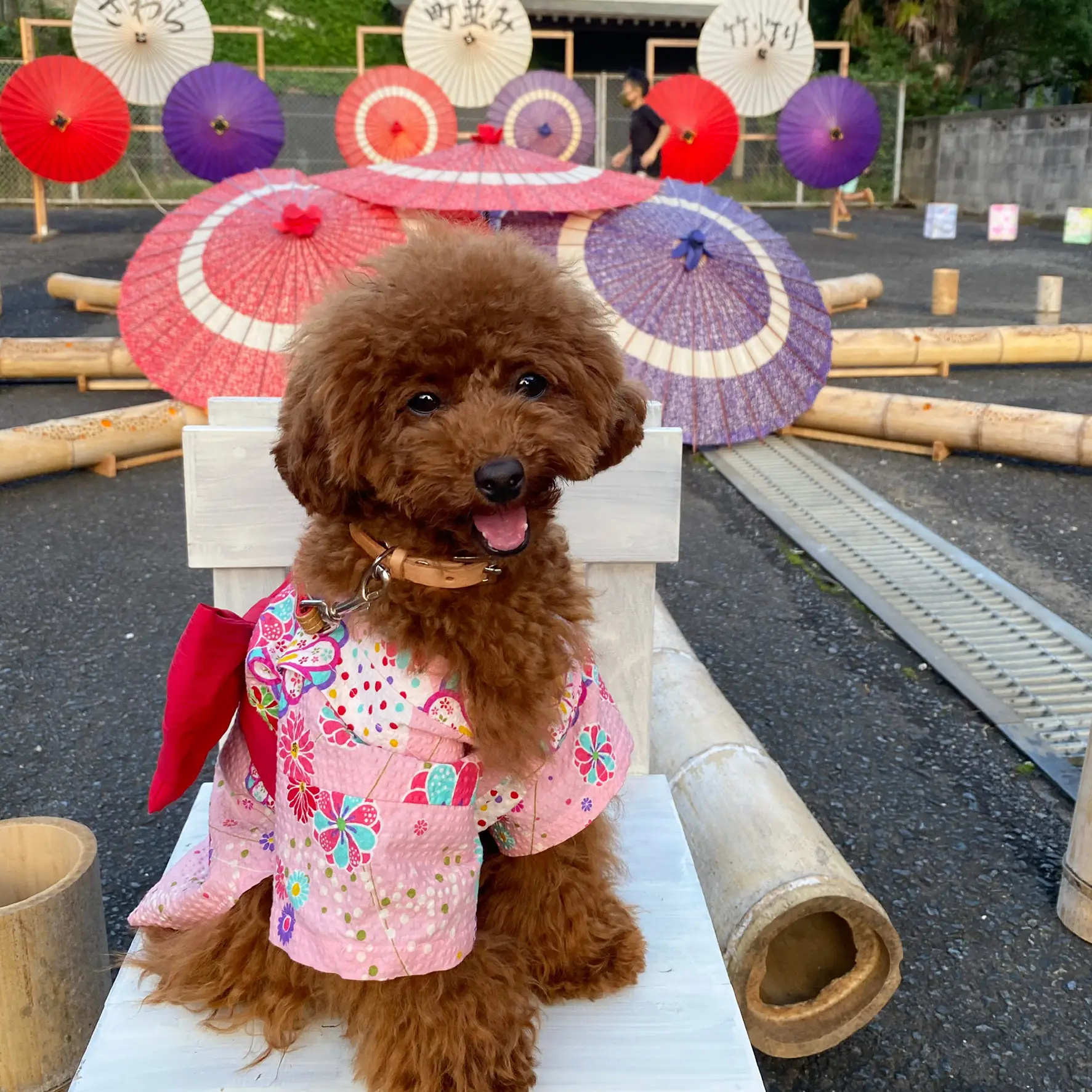 犬服ハンドメイド浴衣♡ここちゃん様♡⑥ - 犬用品