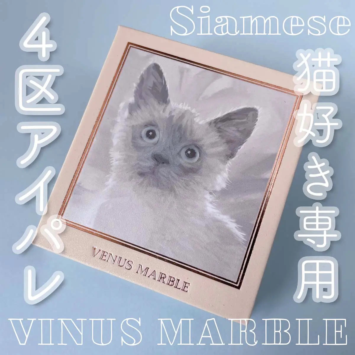 ニャンニャン様専用♪ ニャンニャン様専用 ニャンニャン 6冊セット