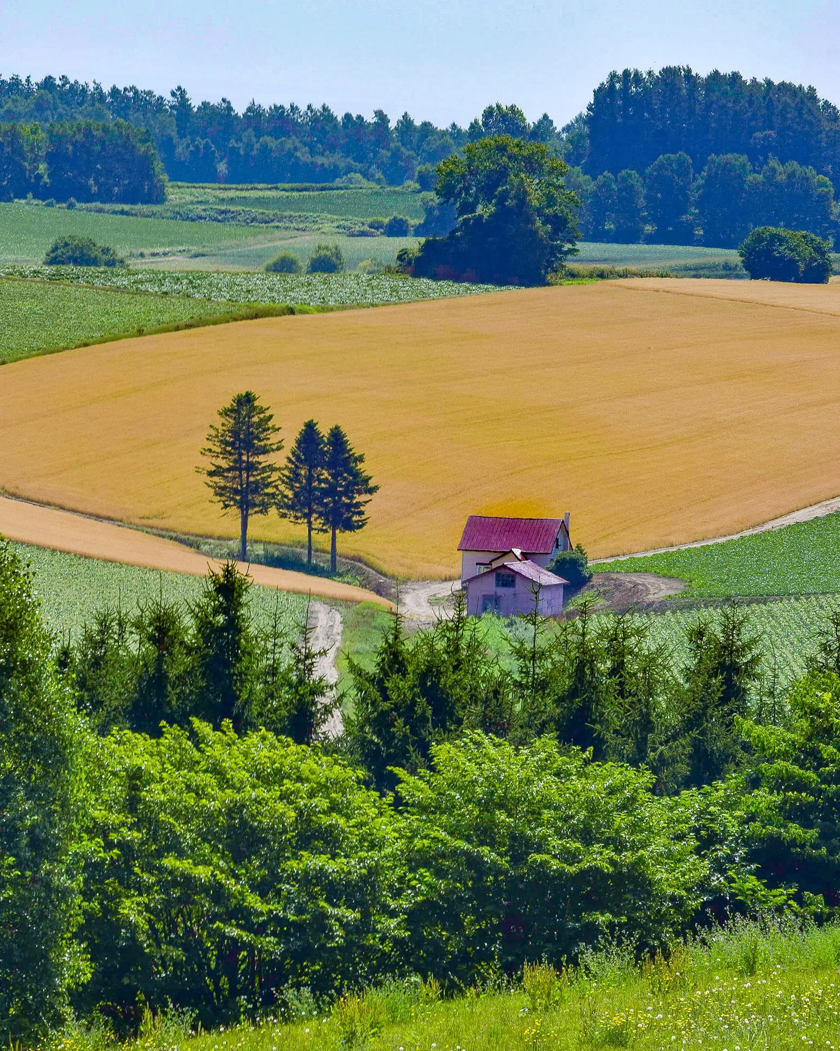 北海道美瑛町の風景 A4写真プリント ガラス入り額装 ～赤い屋根の丘～ 北海道美瑛町の風景 A4写真プリント ガラス入り額装 ～赤い屋根