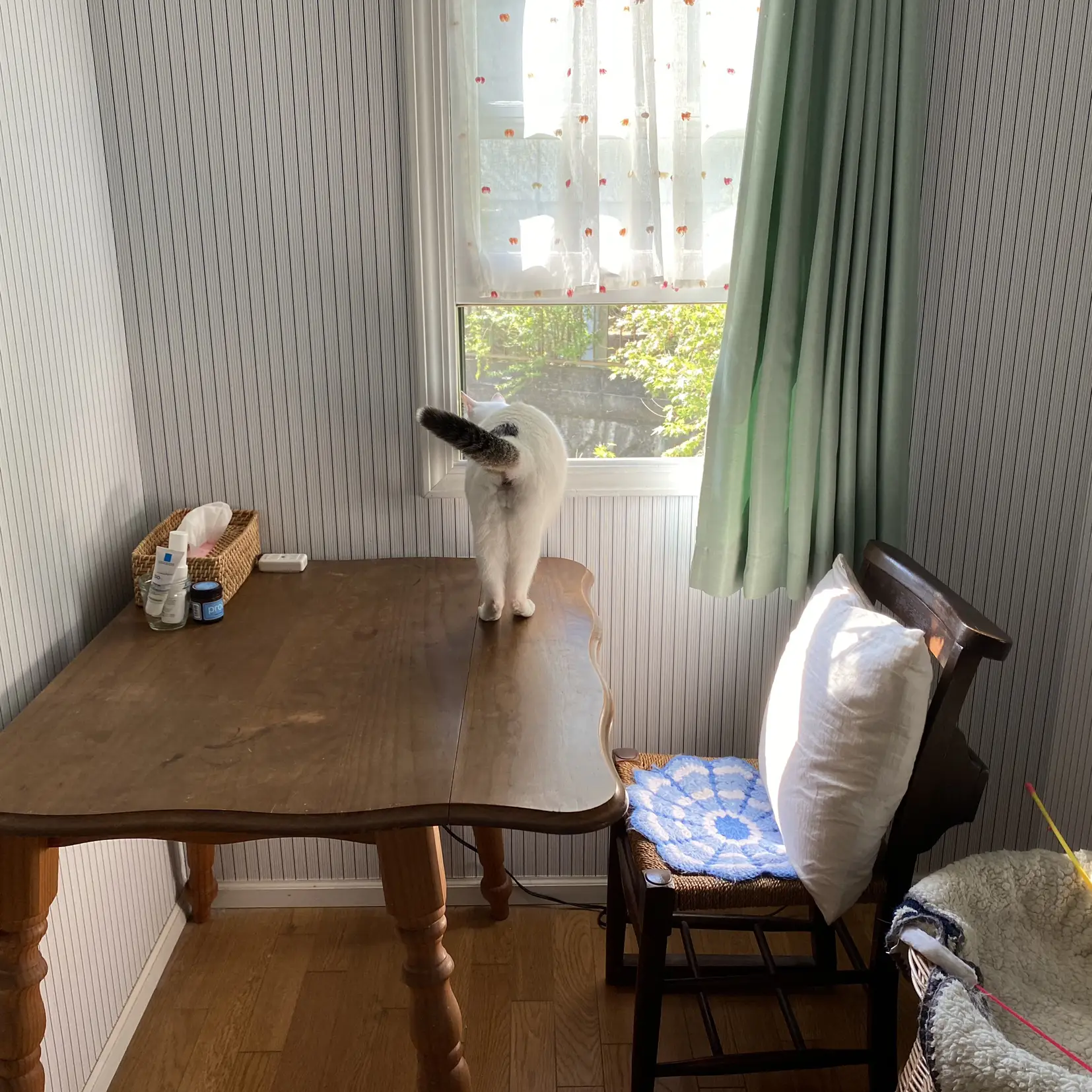 Little Rooms とろみ遮像レースカーテン 要し