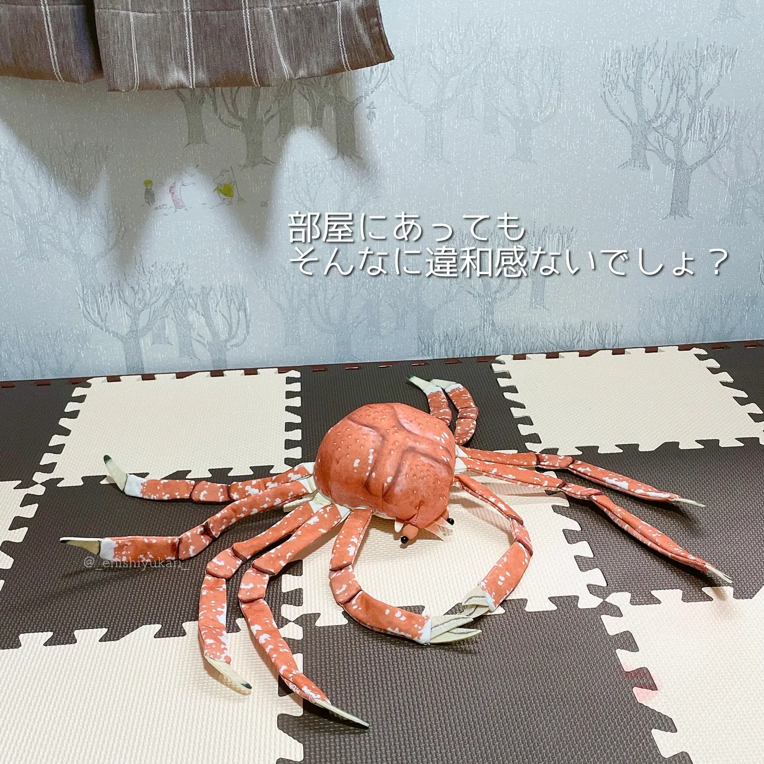 蟹🦀史上初！脱皮するぬいぐるみ | 社畜系女子が投稿したフォトブック