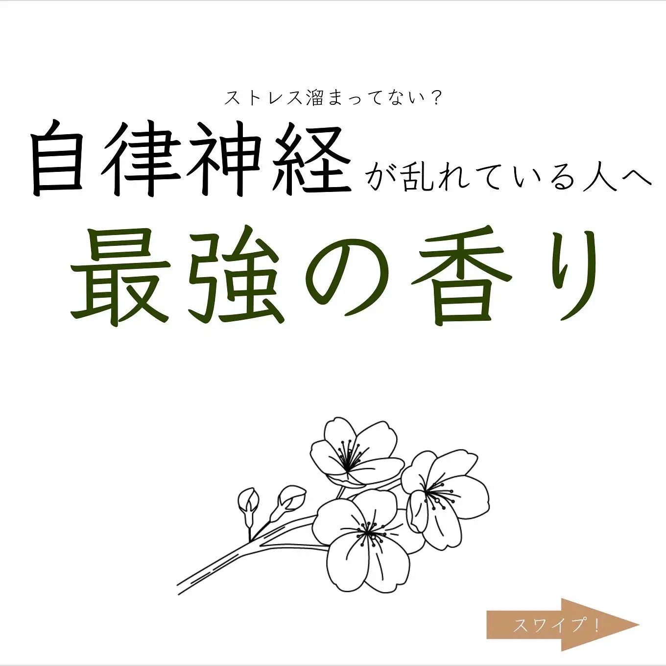 2024年のストレス解消に効果的なアロマのアイデア19選