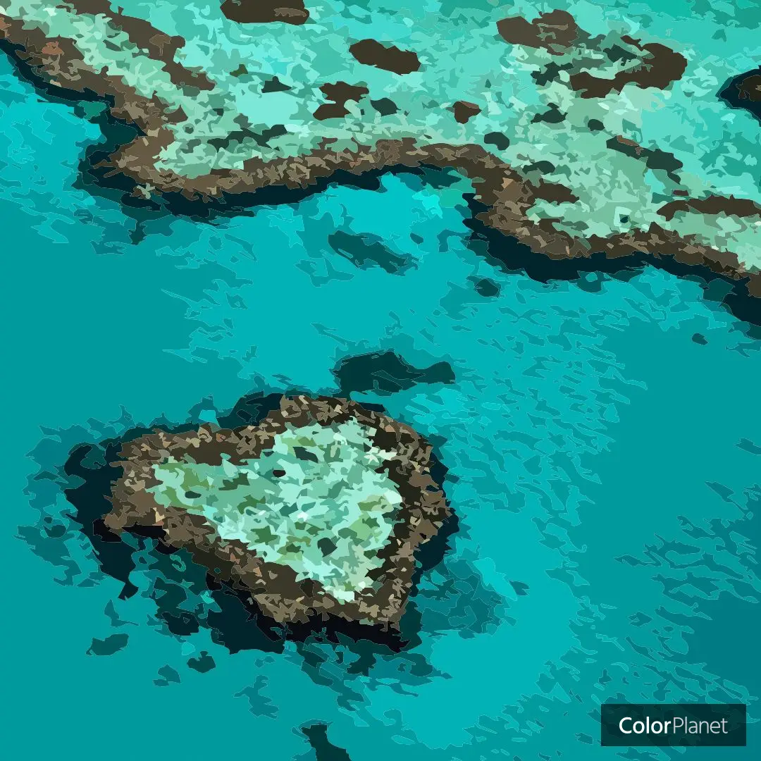 ハート型の島を塗り絵しました | 古味正彦が投稿したフォトブック | Lemon8