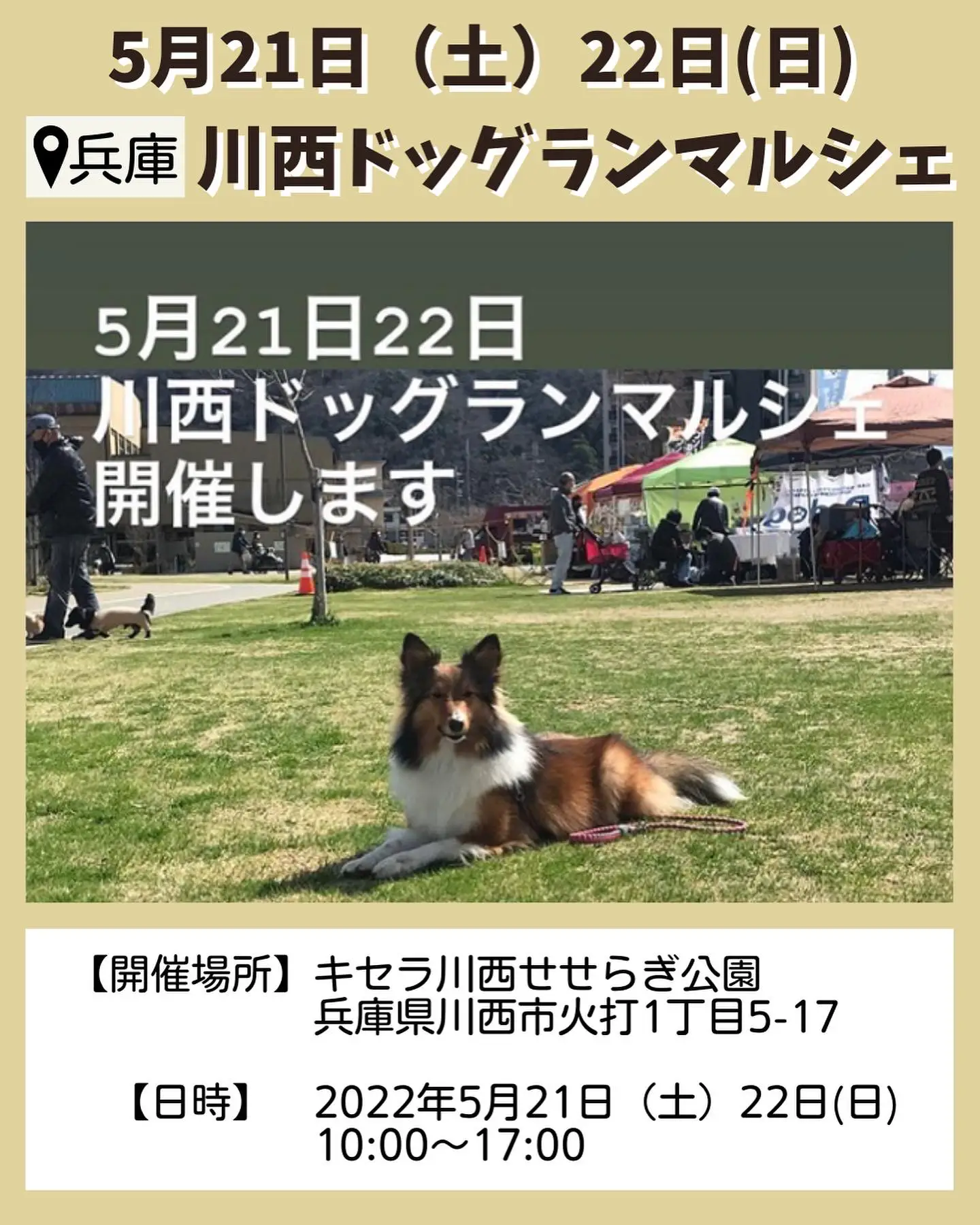 2022年5月のペットイベントまとめ！ | 関西わんことお出かけ情報🐕が