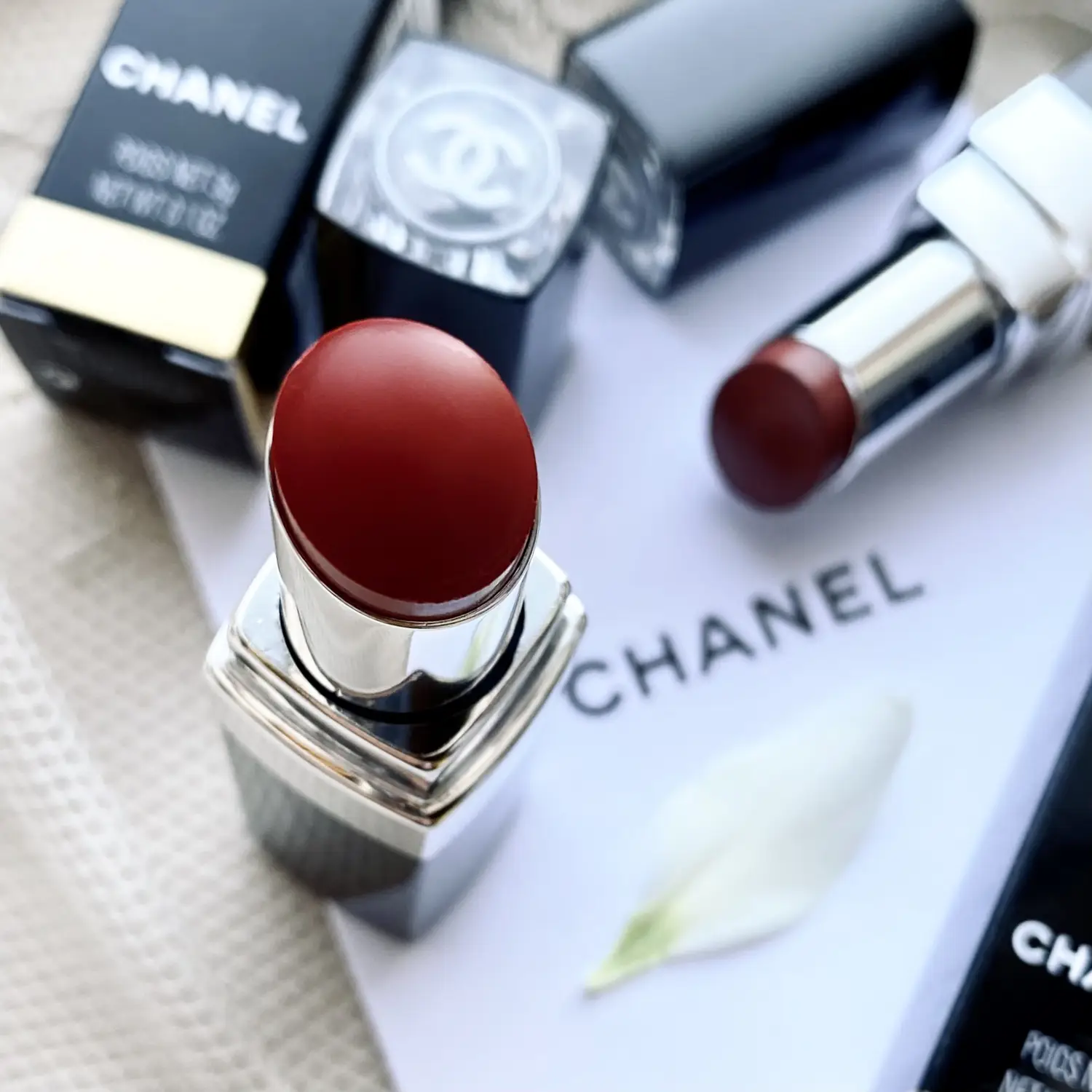 CHANEL, Makeup, Final Price Chanel Bourgeoisie Lipgloss 19 New