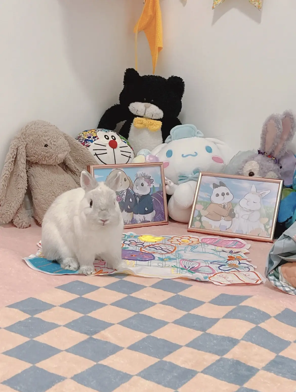 🐰ウサギちゃん🐰専用ルーム🐰ウサギパラダイス🐰ウサギ用品も🐰 | 癒し郵便局が投稿したフォトブック | Lemon8