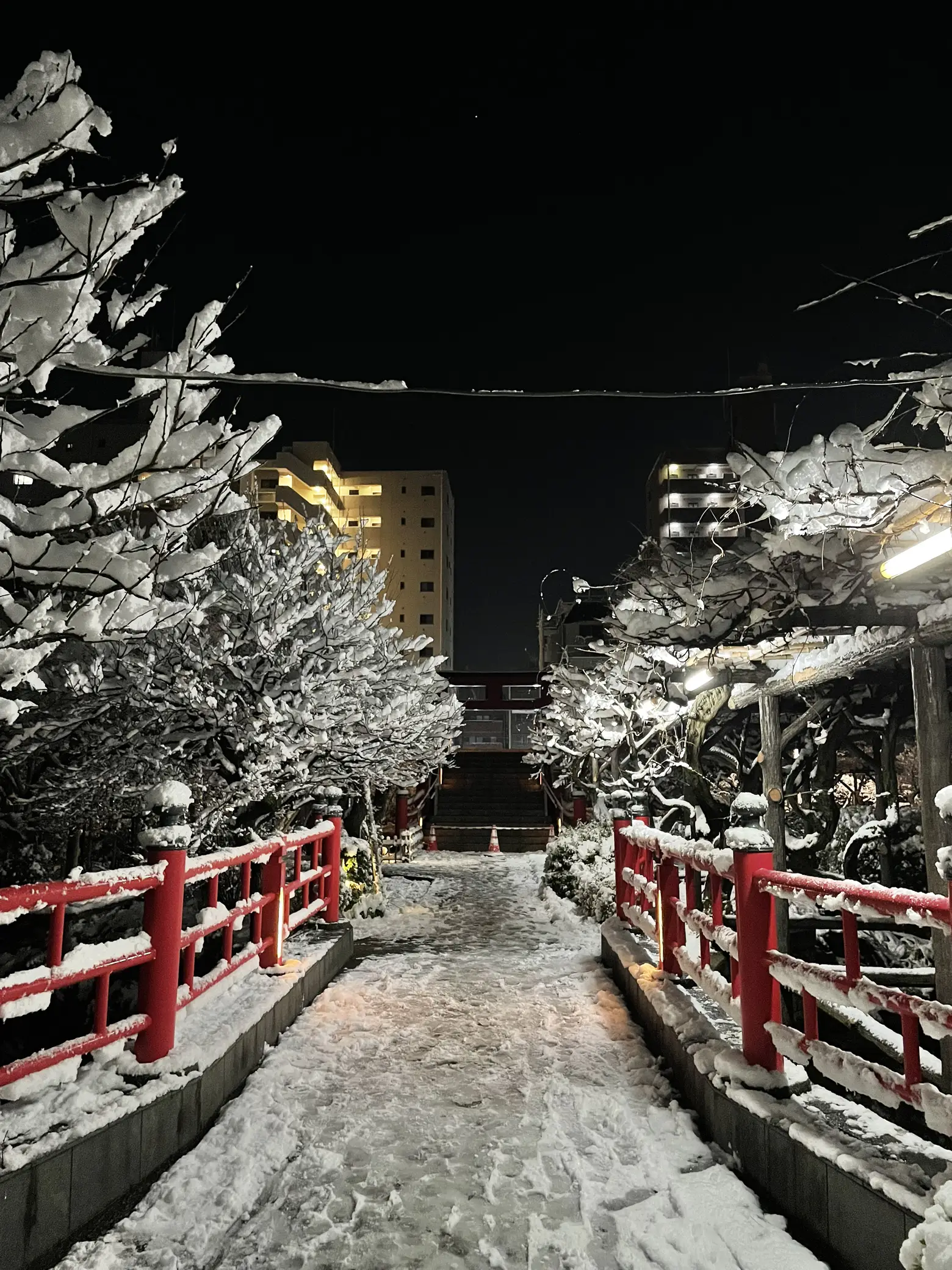 東京雪降りました！ | もりやすが投稿したフォトブック | Lemon8