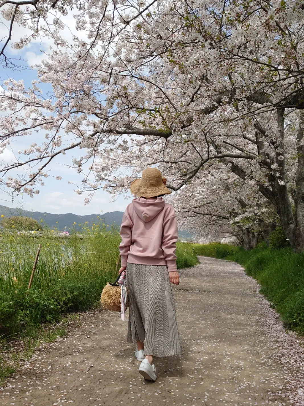 美しい桜の風景に馴染む桜餅コーデ🌸🌿 | hinahimeが投稿したフォト