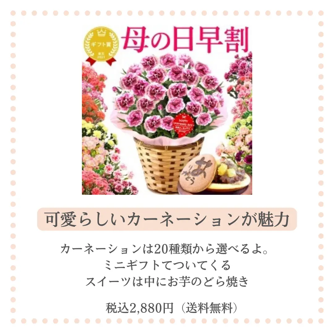 16日まで早割2,928円／ 母の日 早割 プレゼント ははの日 花 実用的 ...