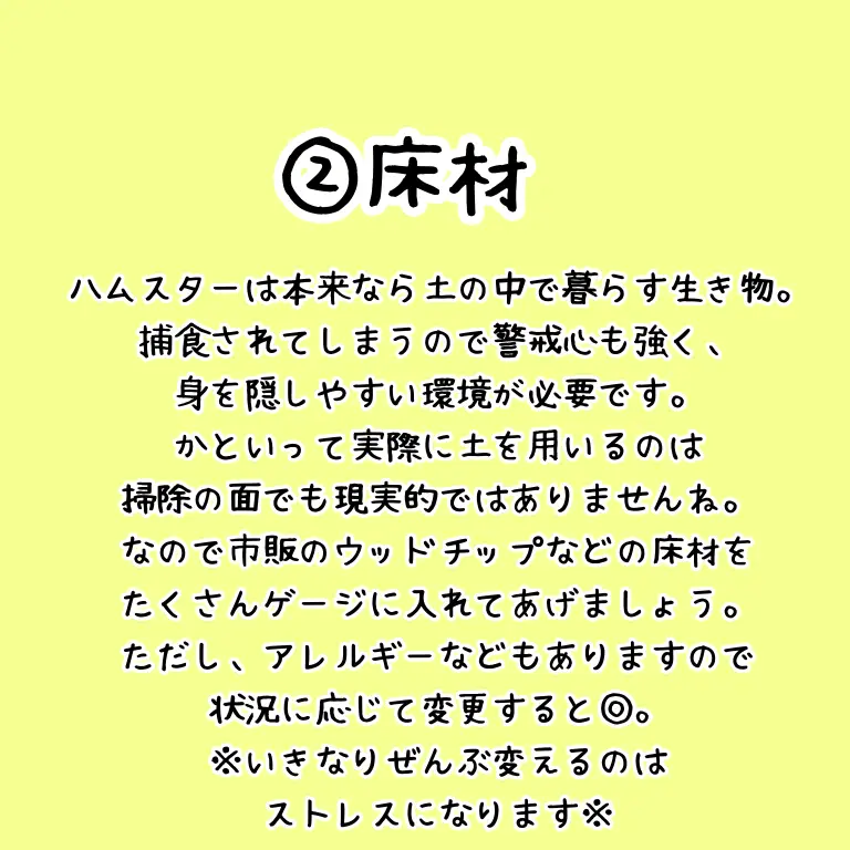 めだかを飼うなら必要なもの Lemon8検索