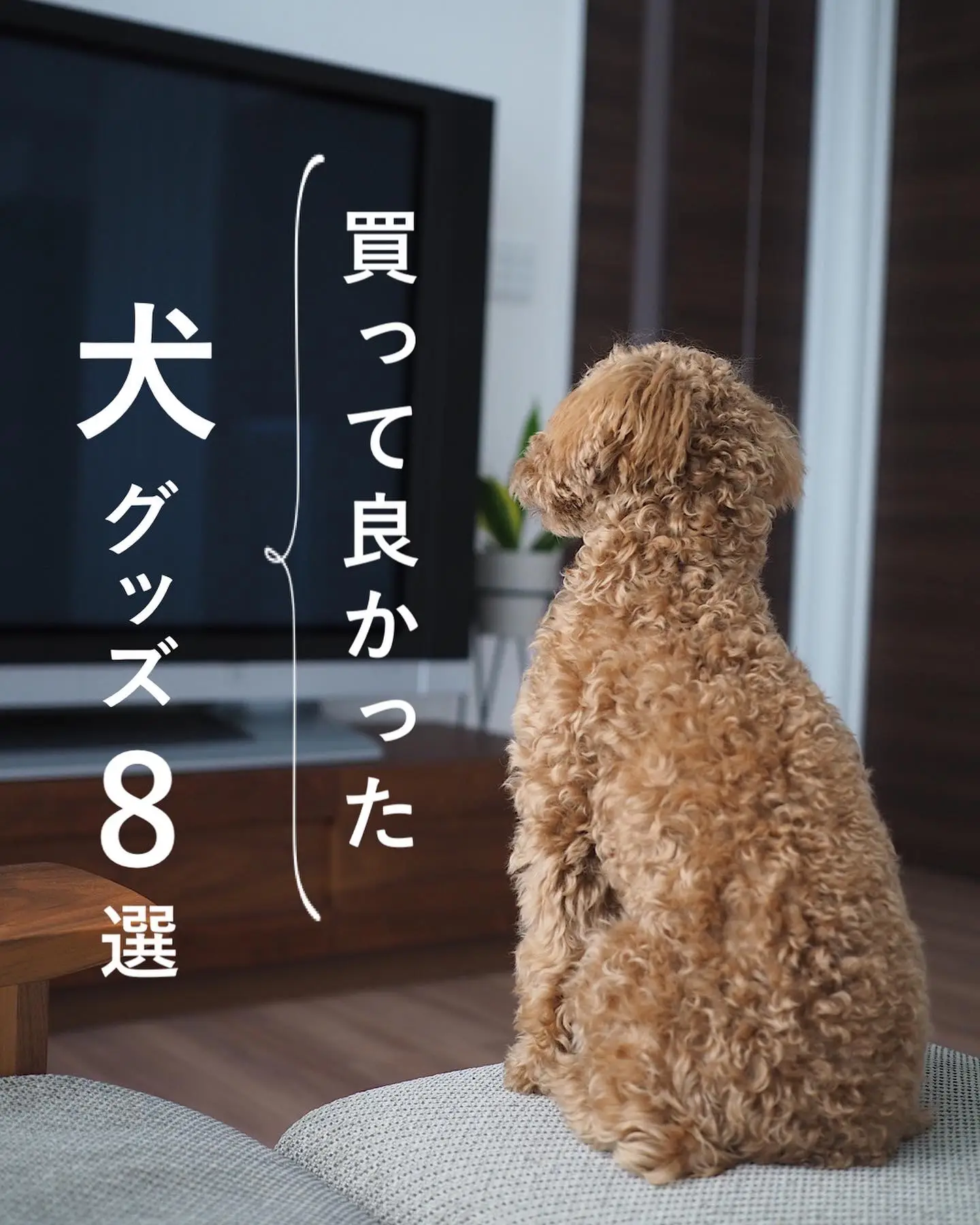 Dog Food Tips - Lemon8検索