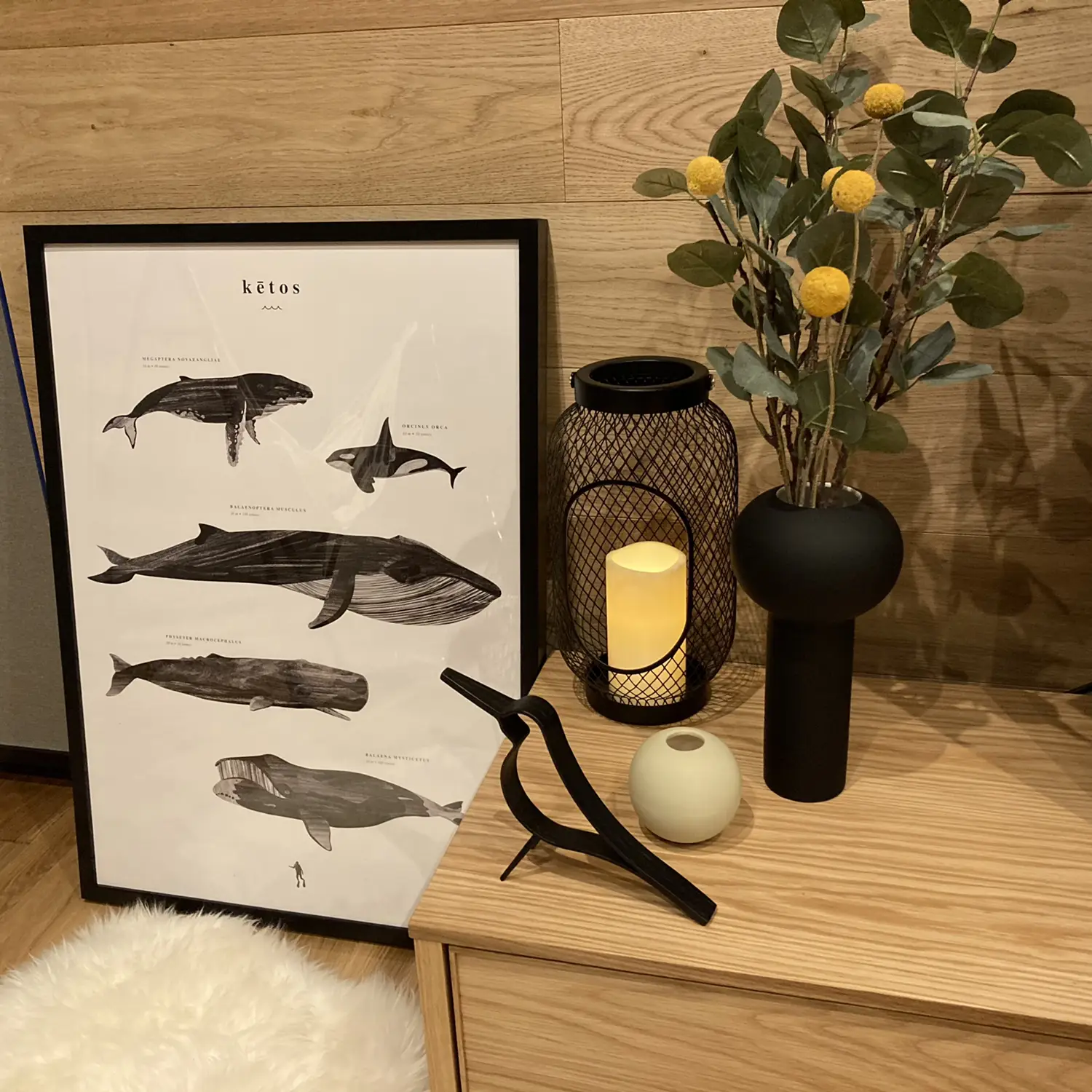 Coco Lapine Design ポスター KETOS クジラ - その他