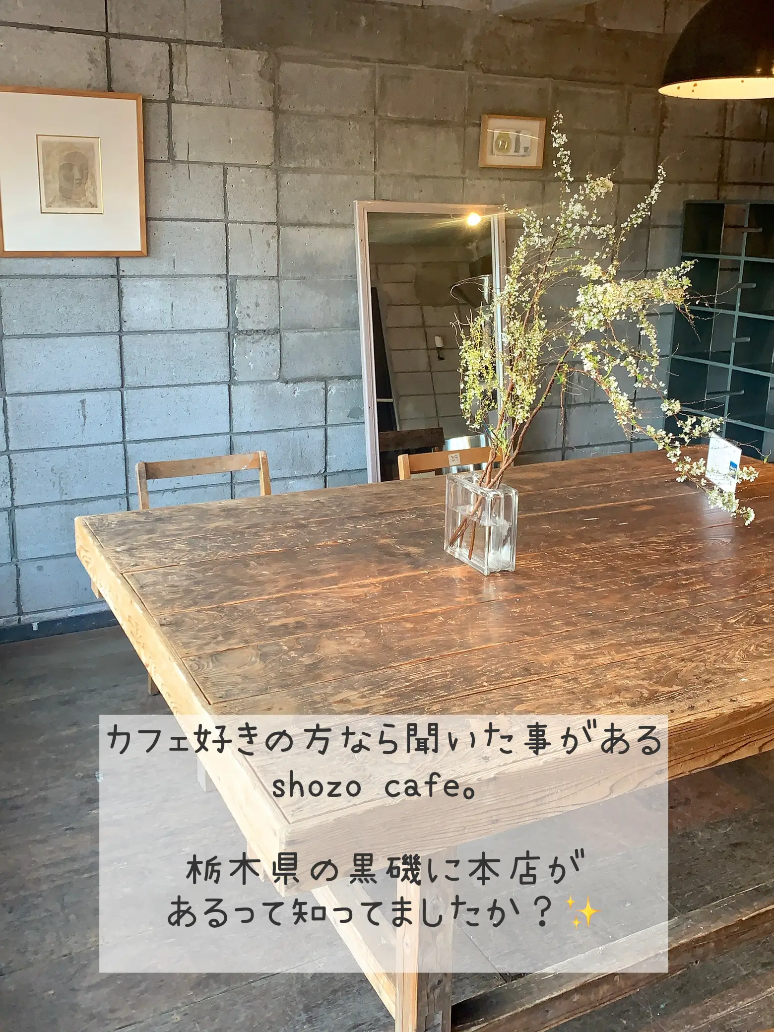 Shozo cafe 本店へ行ってみた！ | ひろなが投稿したフォトブック | Lemon8