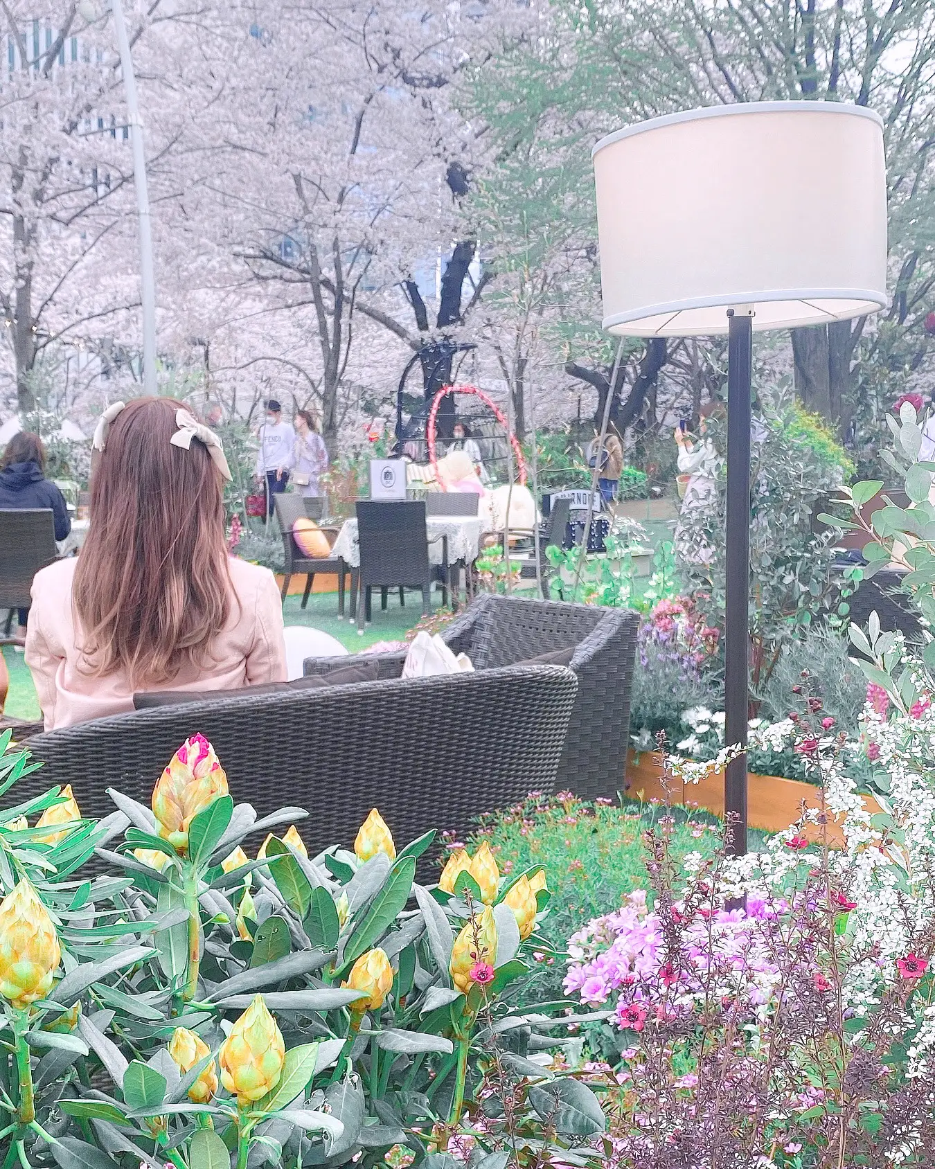 都内で楽しめる🌷カラフルなお花スポット&カフェ☕️🌼 | みさきてぃが