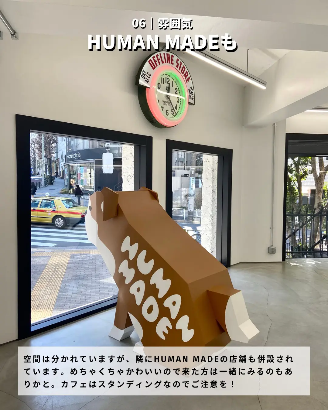 HUMANMADE✖️KAWSコラボ 量り カモ クッション