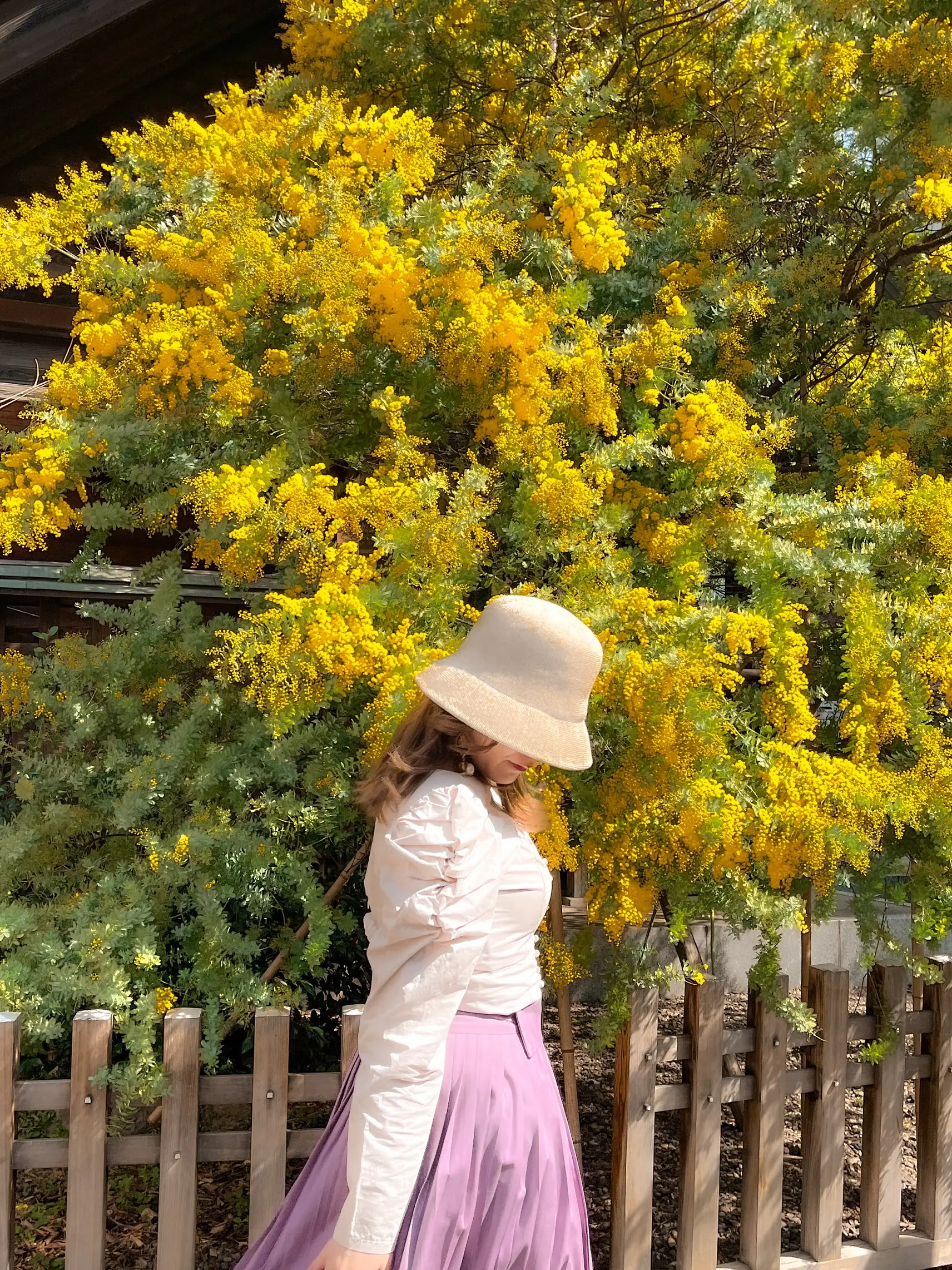 黄色いミモザが春の訪れを告げる✨【蔵前神社】&春コーデはバケットハットで🌸 | 西村華奈穂が投稿したフォトブック | Lemon8