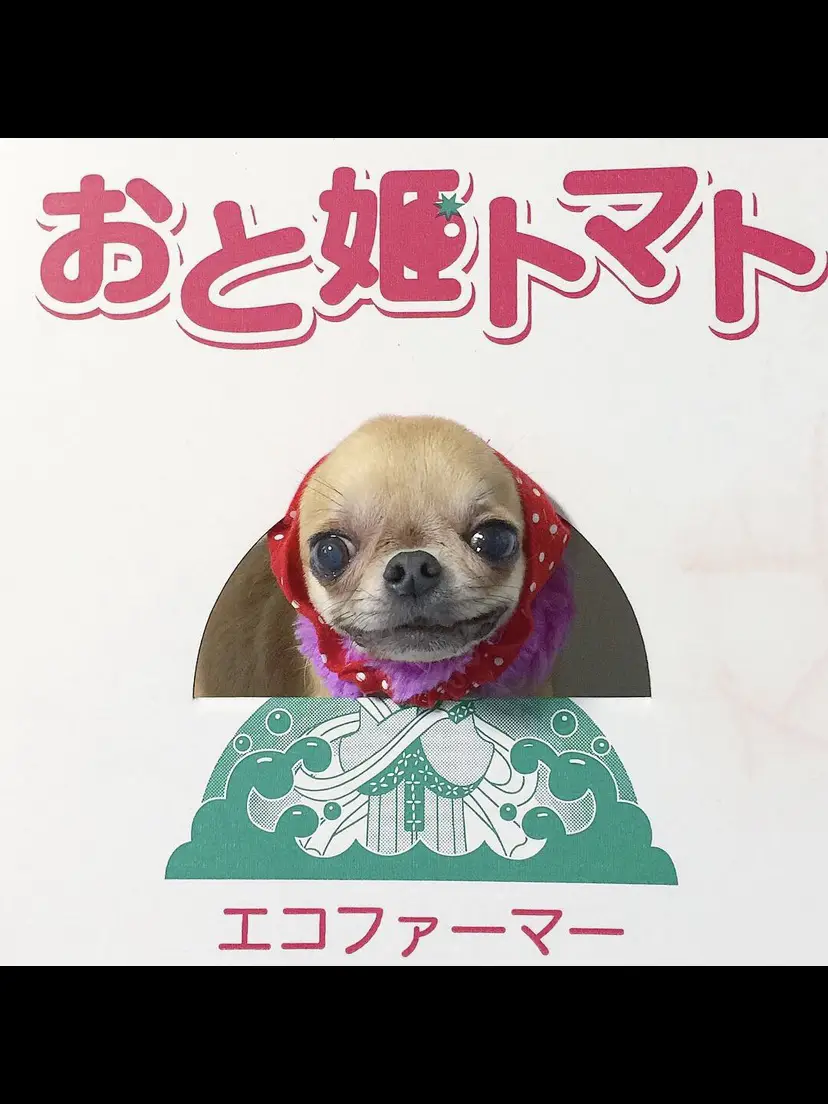 スキャンティー　顔出し 顔だし看板 | のっこりんが投稿したフォトブック | Lemon8