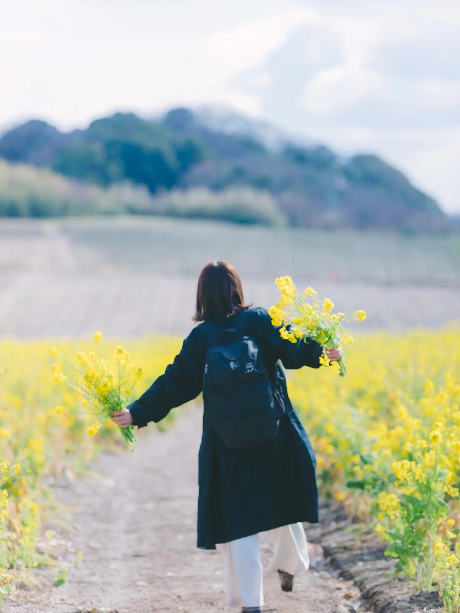 菜の花摘み | yuuyuu_photoが投稿したフォトブック | Lemon8