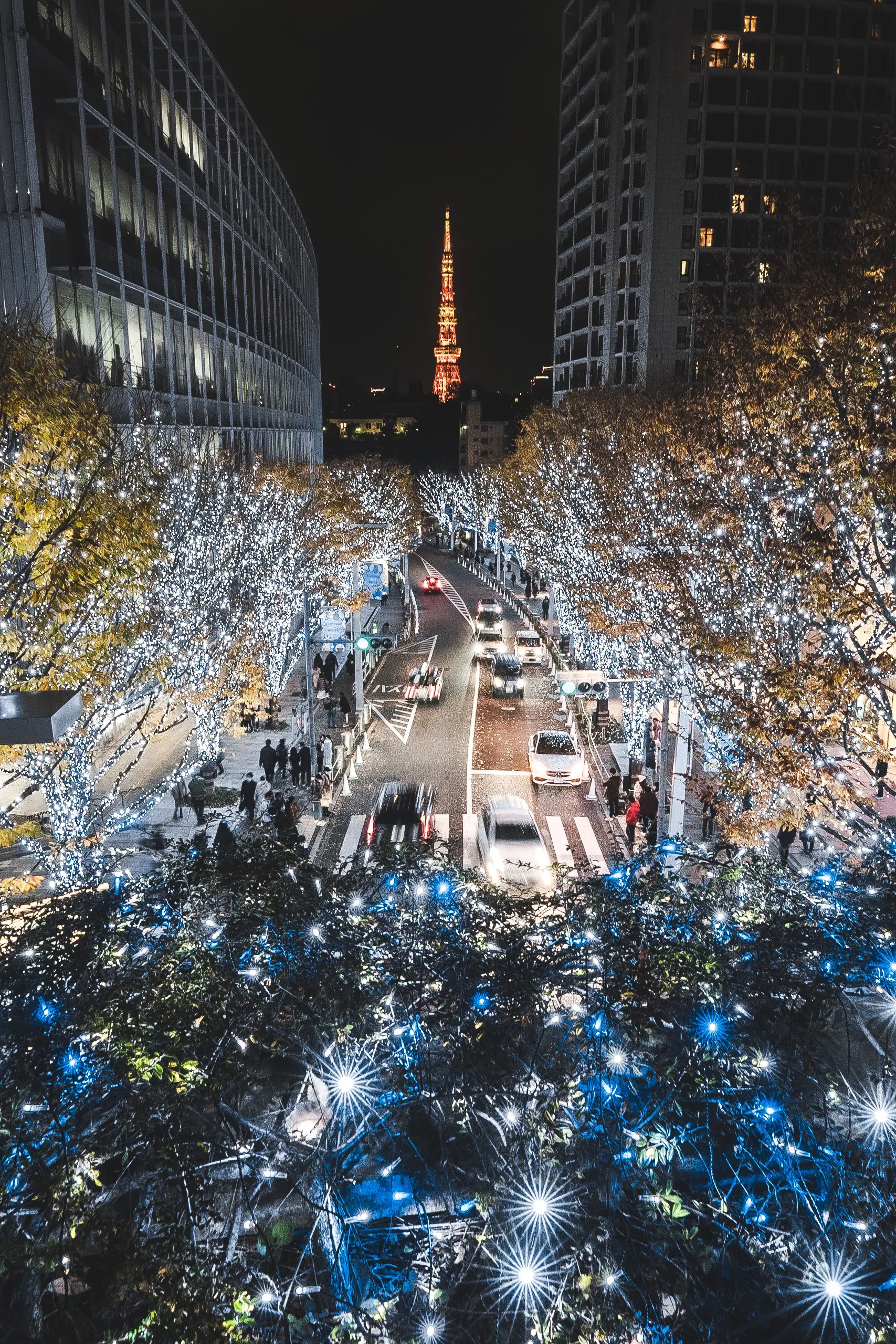 東京】六本木から見える東京タワー | ebi_timesが投稿したフォトブック | Lemon8