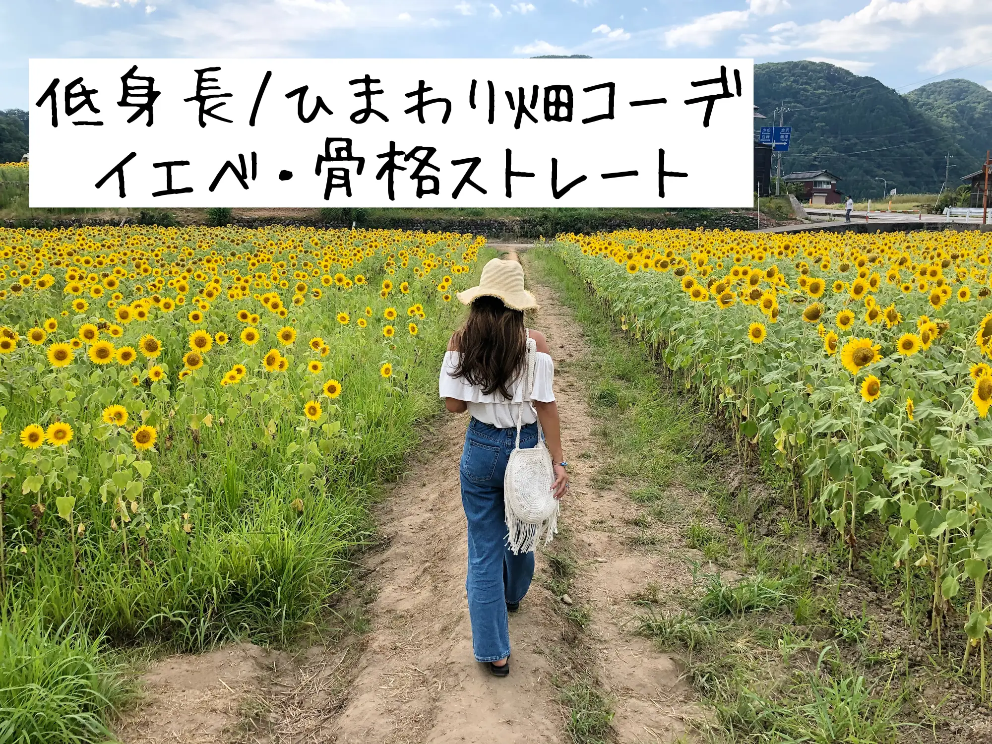 White × Denim 】 Sunflower Field Corde | Gallery posted by