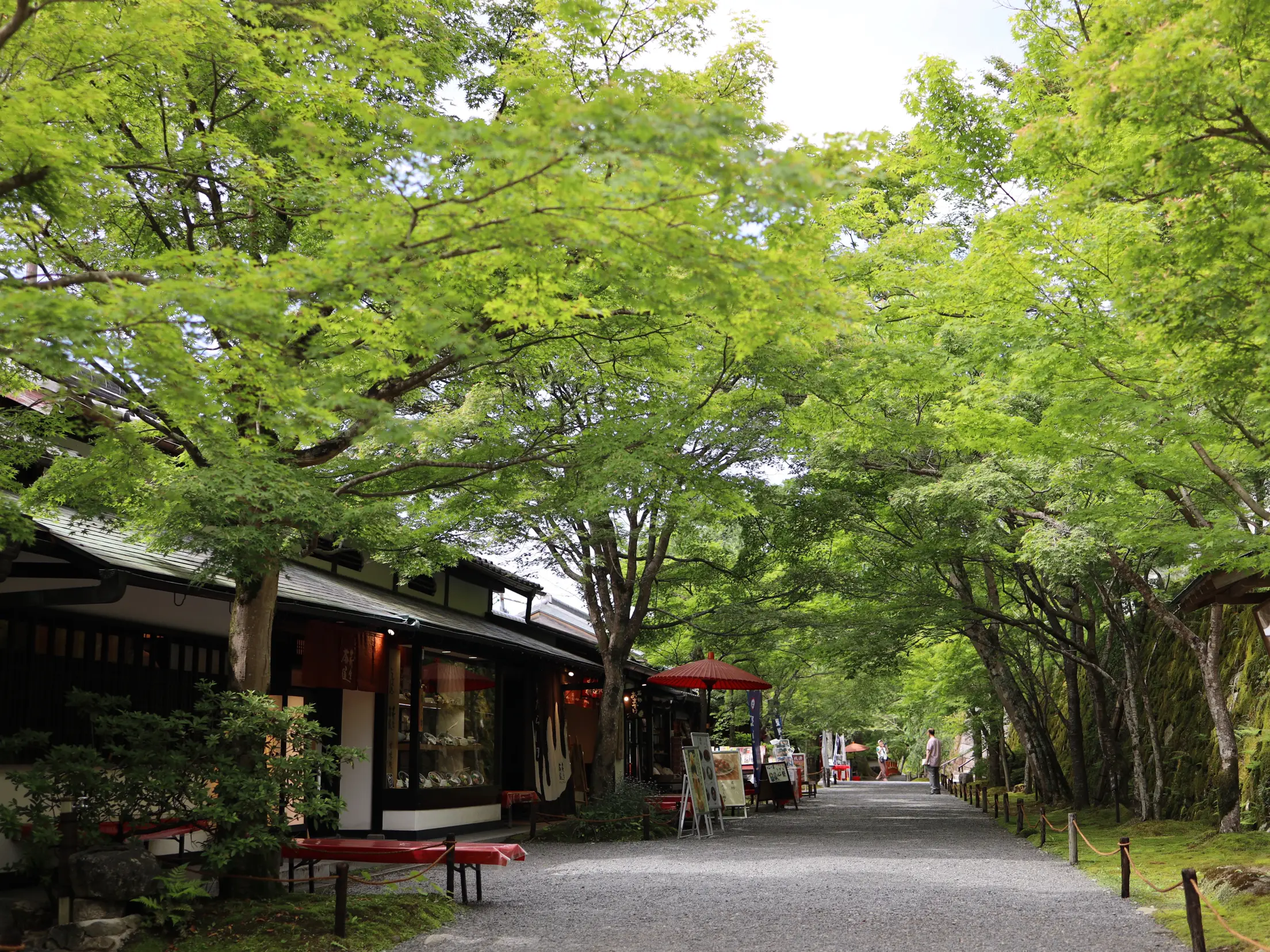 京都]新緑の「三千院」のわらべ地蔵さんに癒される💕💕💕 | あろはれ