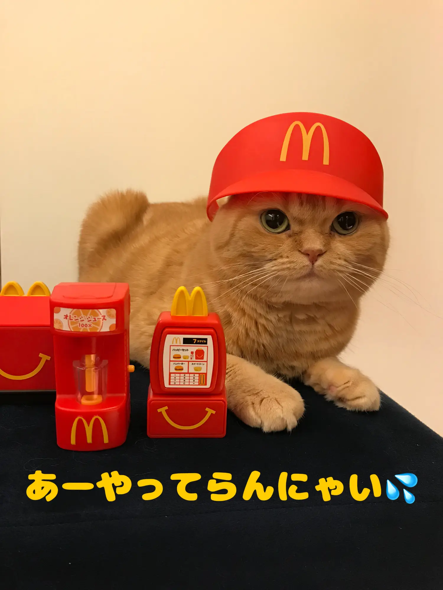 ウソをつくマックのクルー♡ | muller_kinakoが投稿したフォトブック