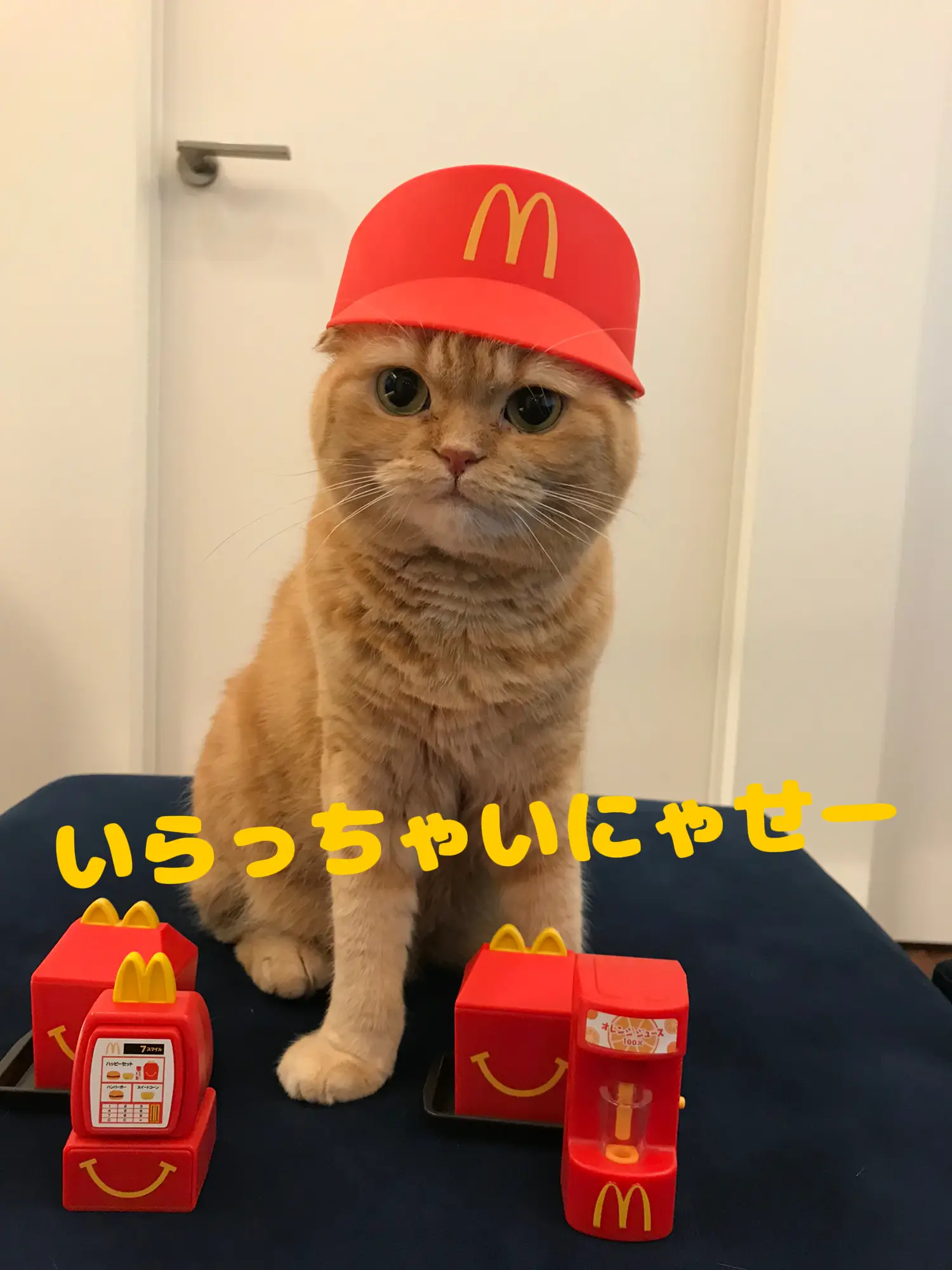 ウソをつくマックのクルー♡ | muller_kinakoが投稿したフォトブック