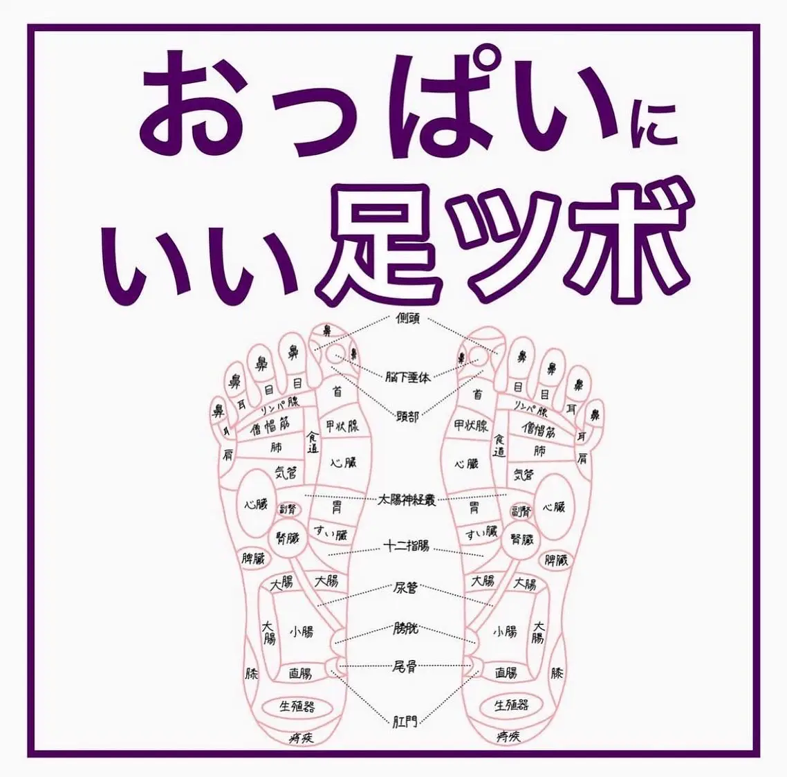 足ツボ 図解 表 - ボディケア