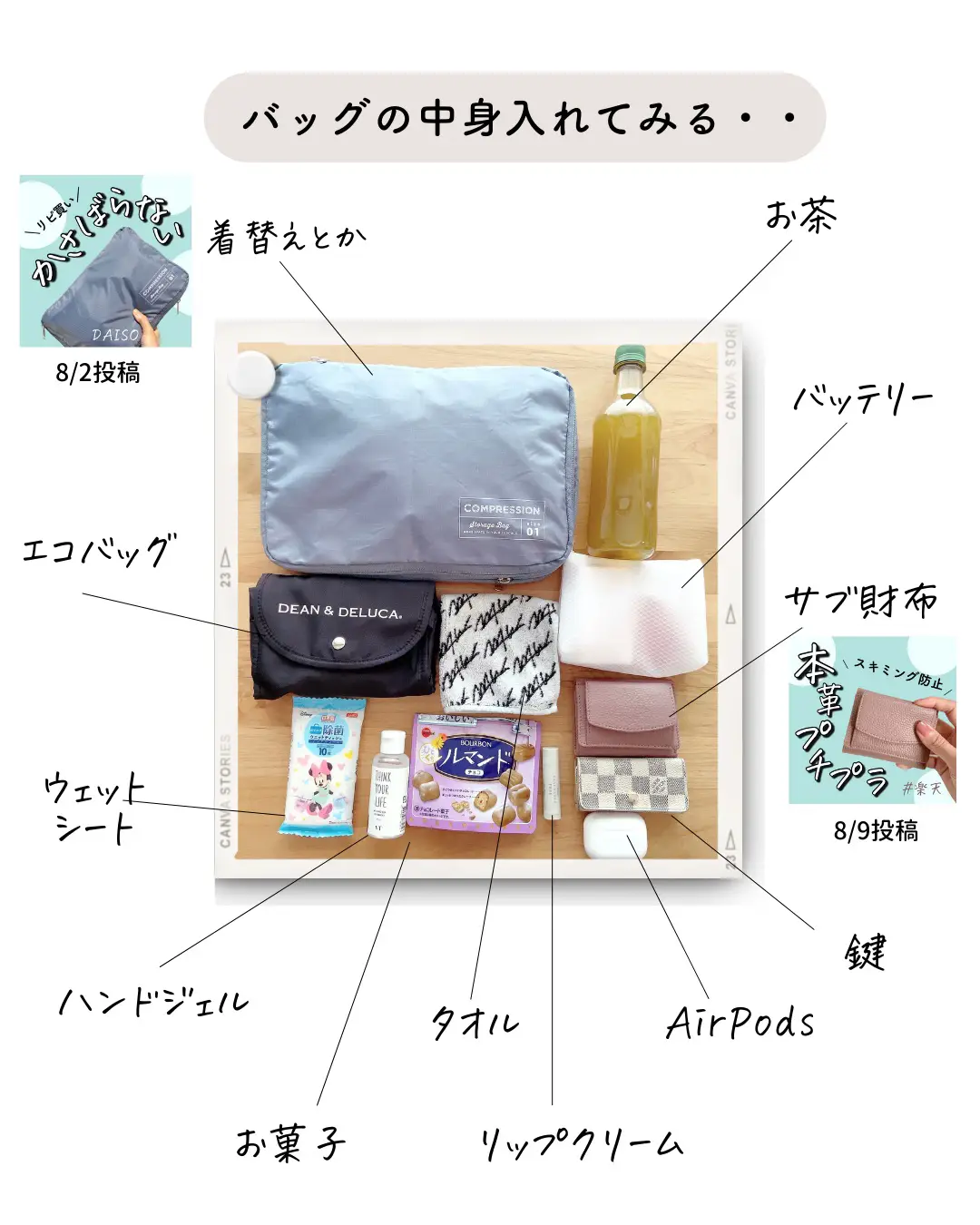 100均ダイソー】リュック派の人へ、専用のバッグインバッグ | みこ_100