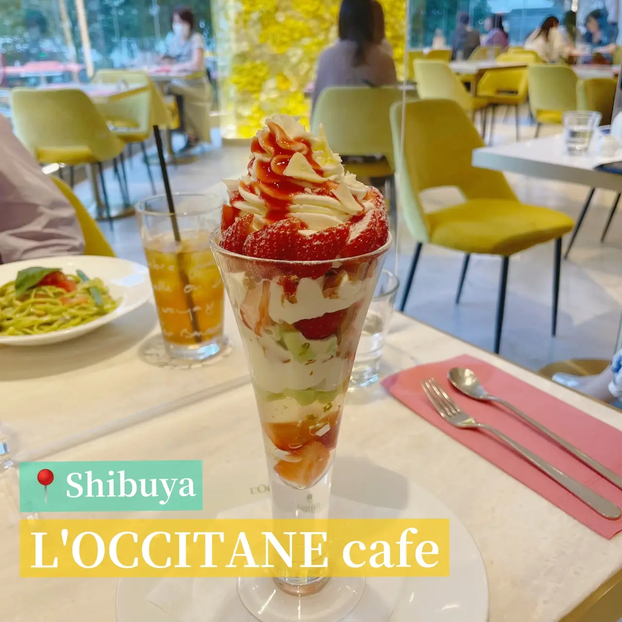 地図 : L’Occitane Cafe 渋谷店 _ ロクシタンカフェ 渋谷店 の地図 – IBSR