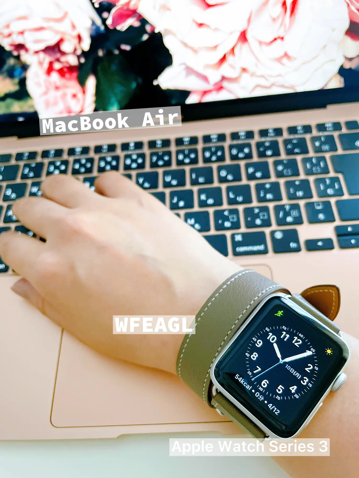 WFEAGL Apple Watch Band Gallery posted by ane ena Lemon8