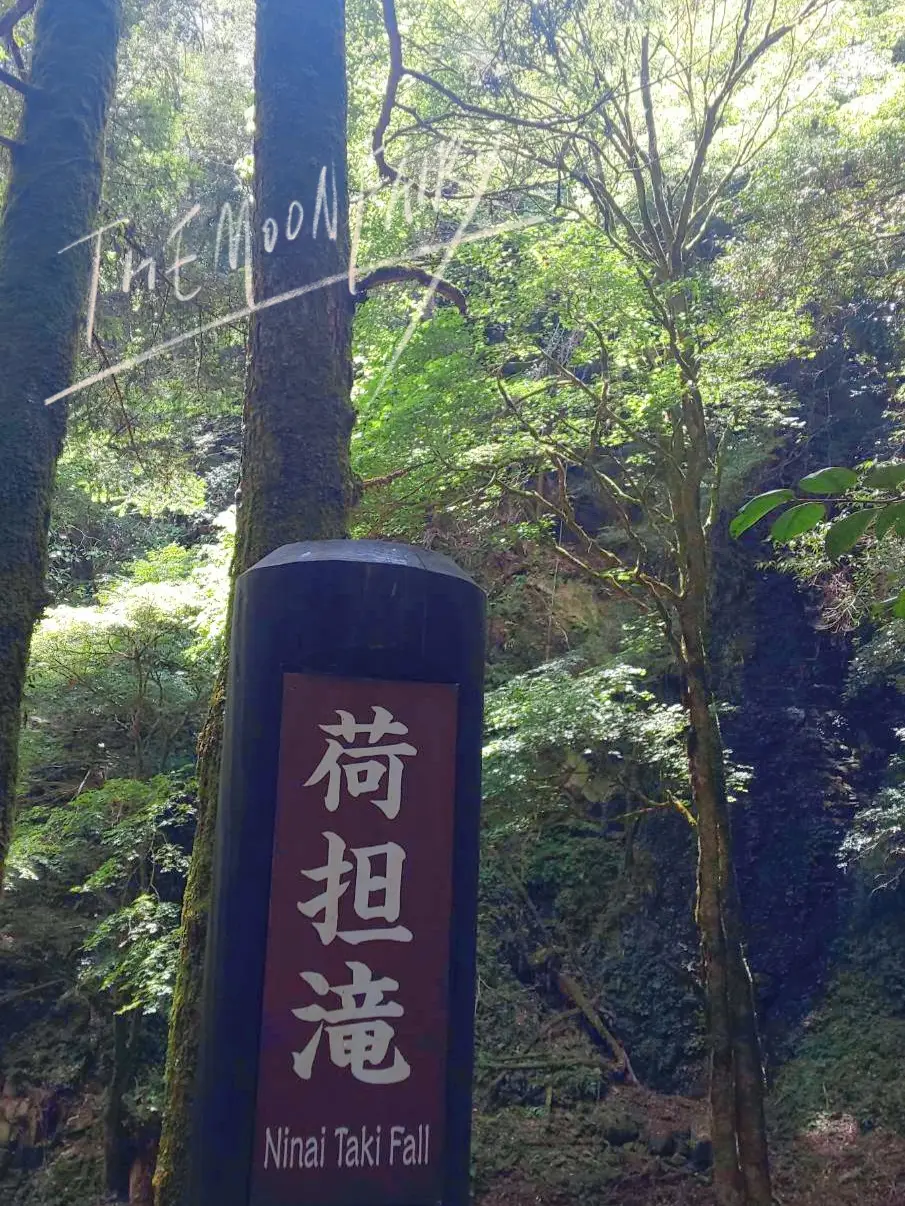 近鉄奈良シリーズの絵皿赤目の瀧 三重県で人気の自然・景勝