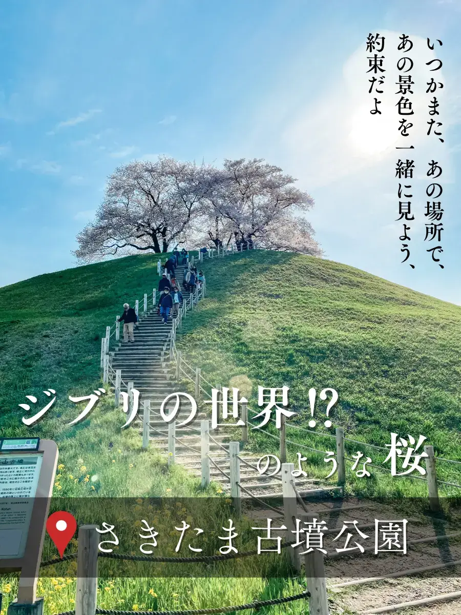 さやま桜様 （3/28☆桜開花情報・広福寺】 下奥富の広福寺の