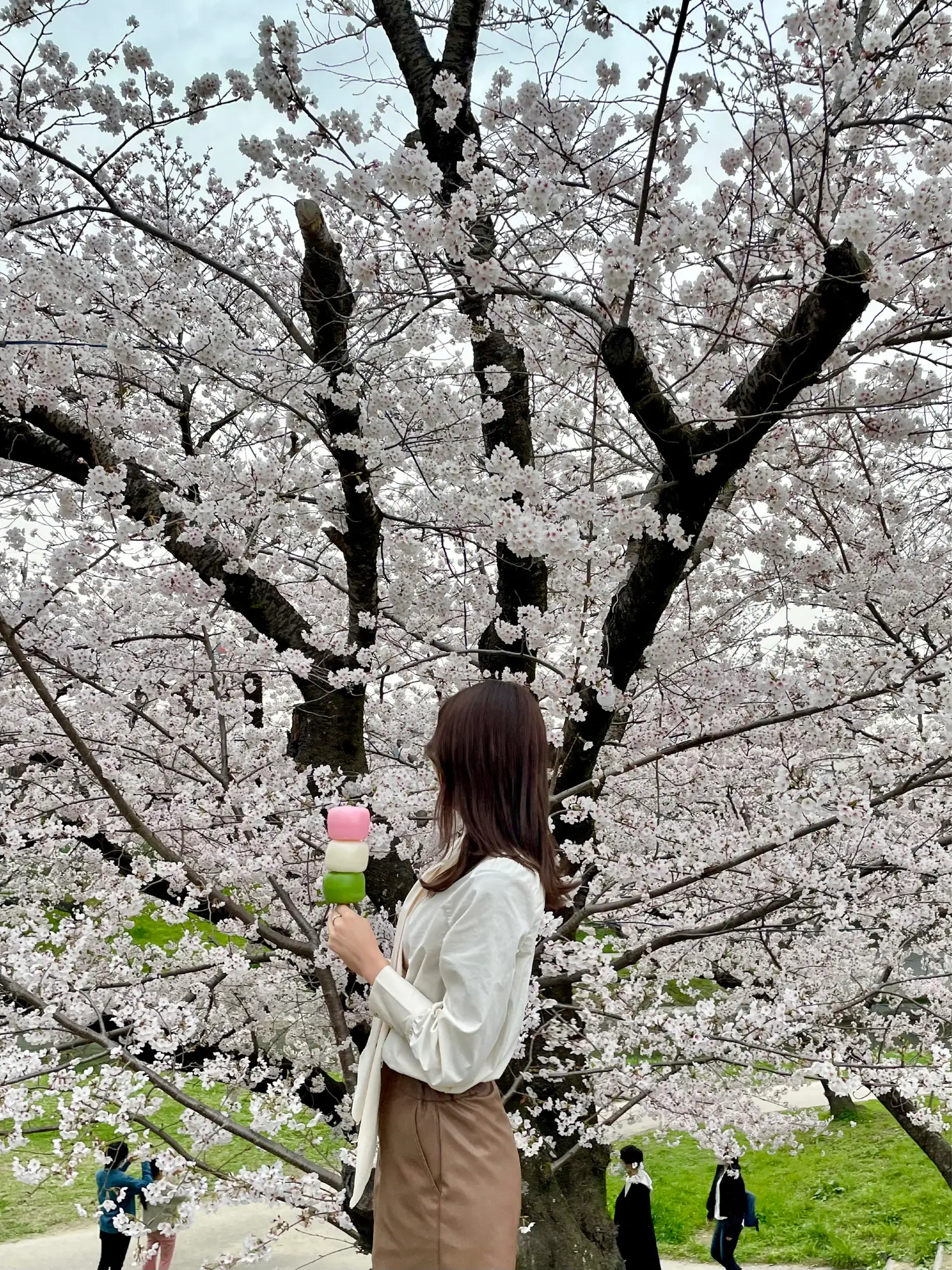 お花見】花よりでか団子??? | machico0309が投稿したフォトブック 